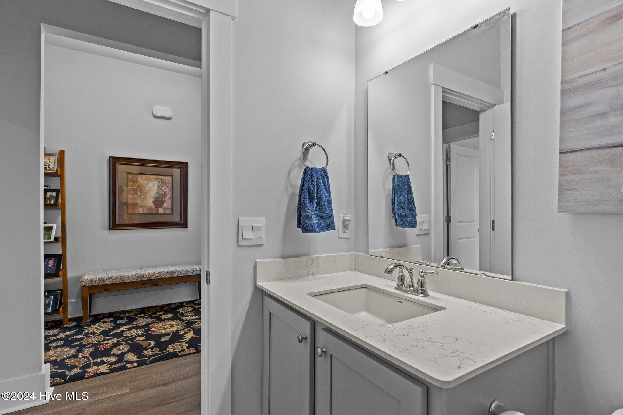 115 Ballantine Grove Lane Property Photo 9