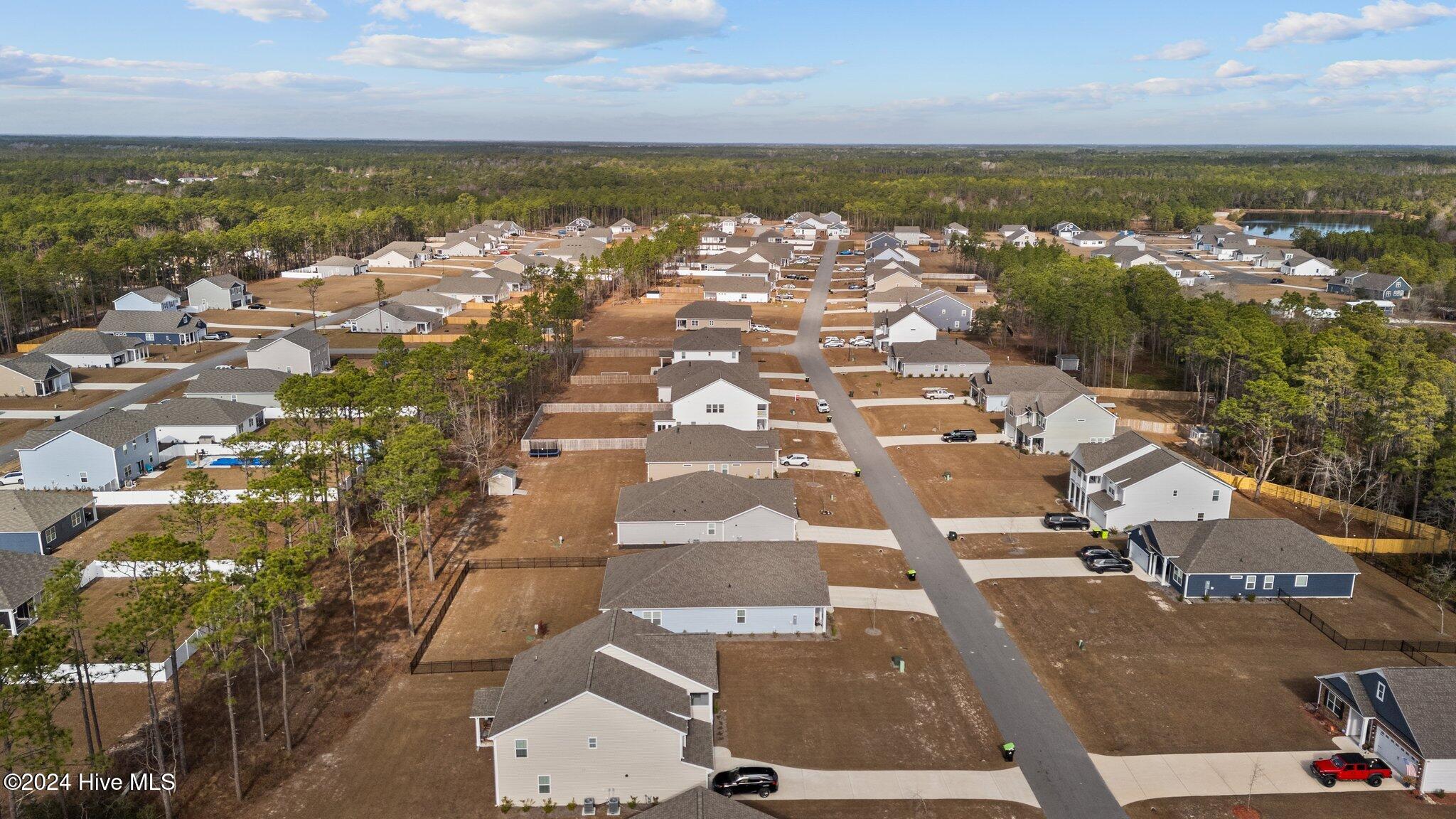 115 Ballantine Grove Lane Property Photo 45