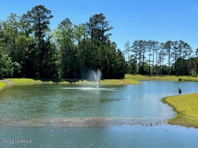 138 Spotted Owl Way Lot 331 Property Photo 27