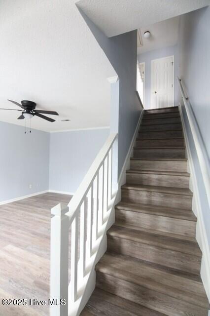 24 Upton Court Property Photo 11