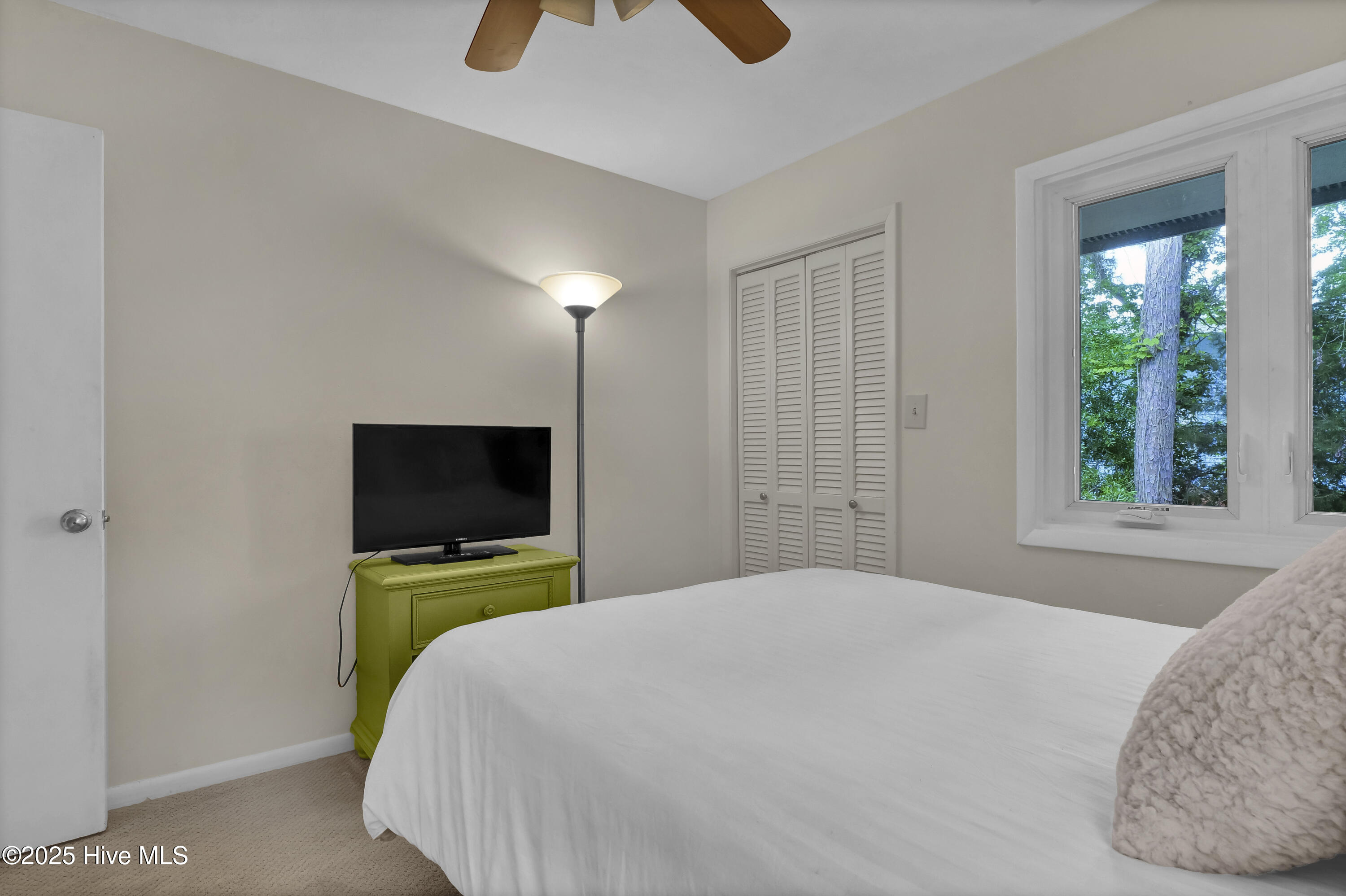 6338 Oleander Drive #8 Property Photo 33