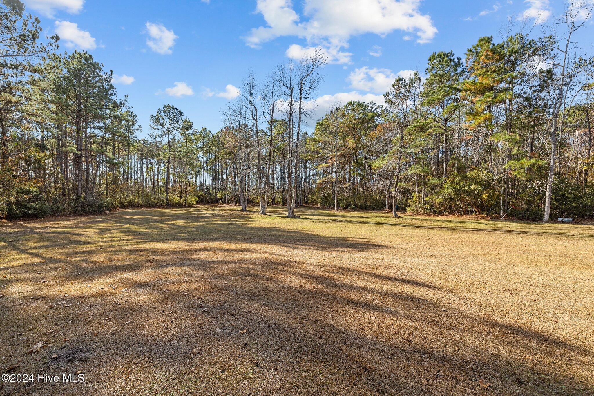 221 Donnie Davis Road Property Photo 27