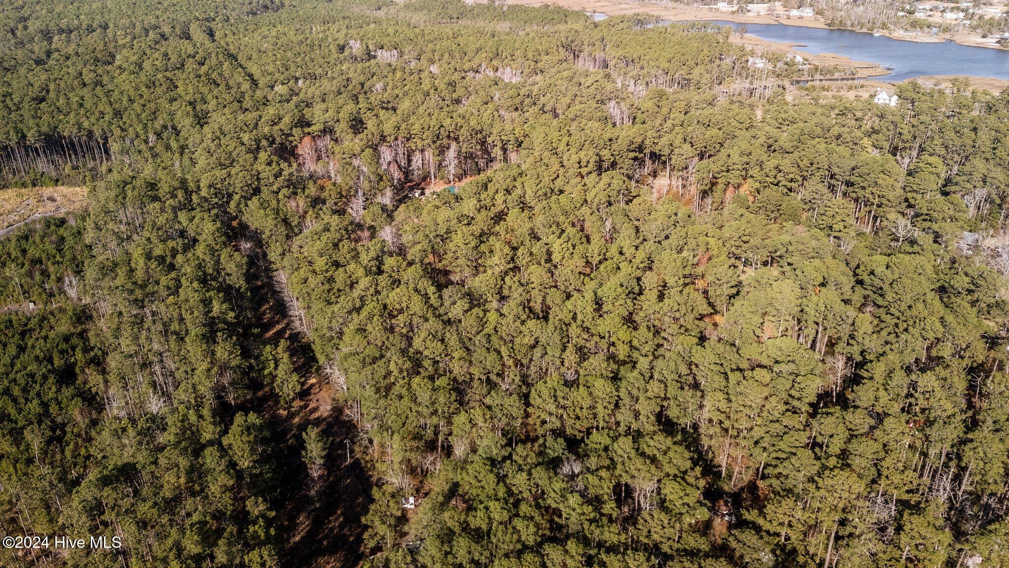 221 Donnie Davis Road Property Photo 31