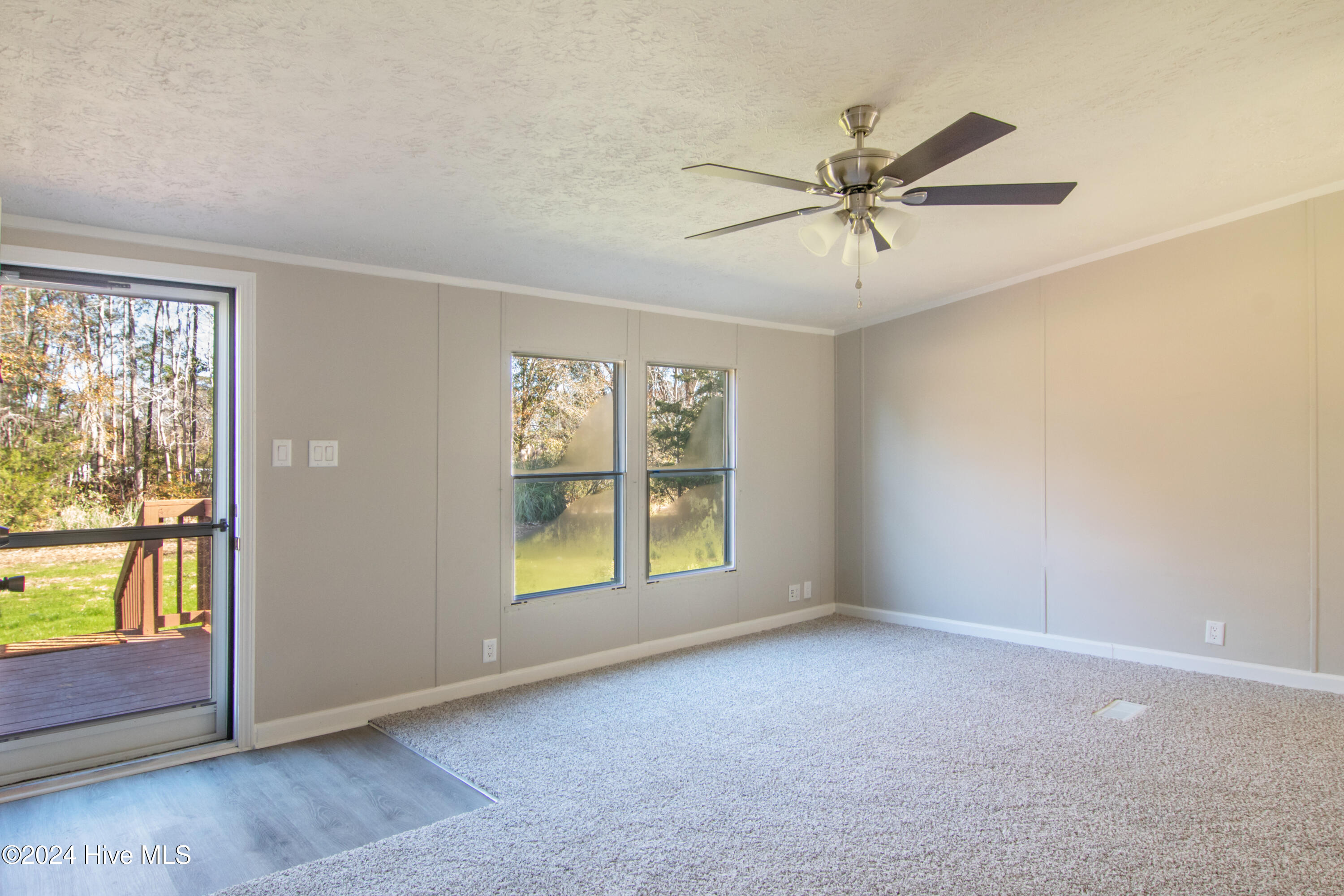 12 Cox Street Property Photo 5