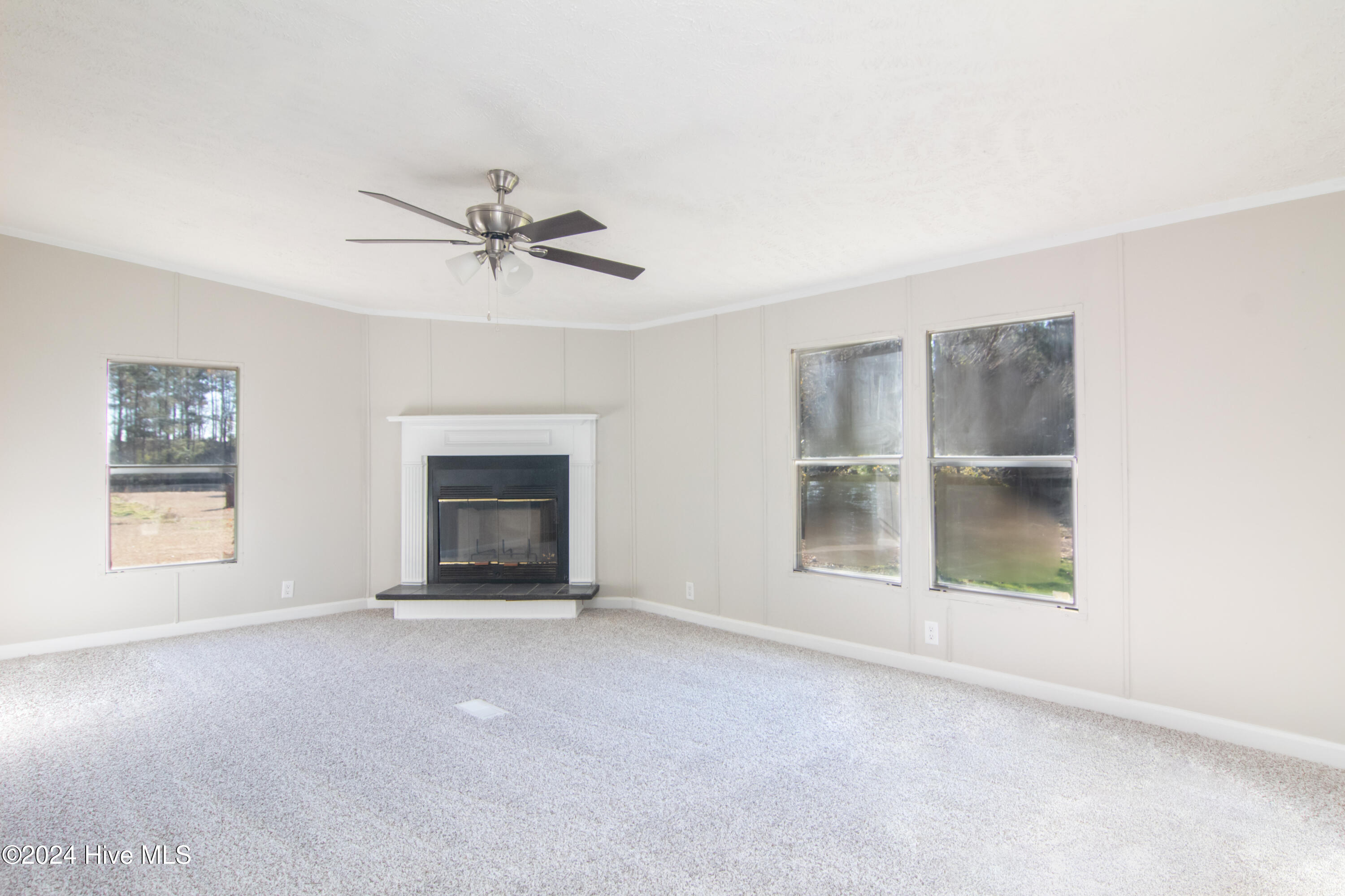 12 Cox Street Property Photo 9
