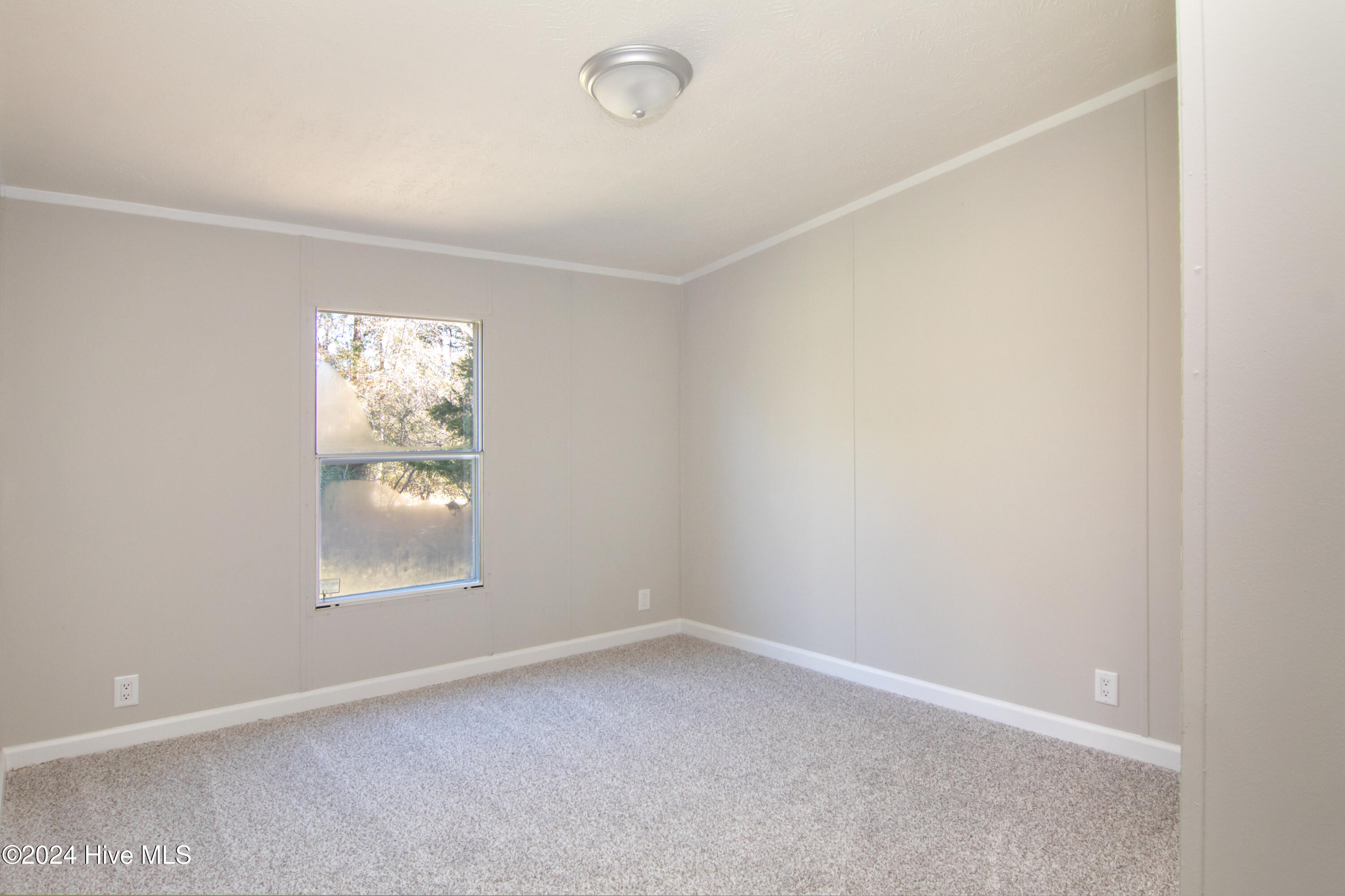12 Cox Street Property Photo 17
