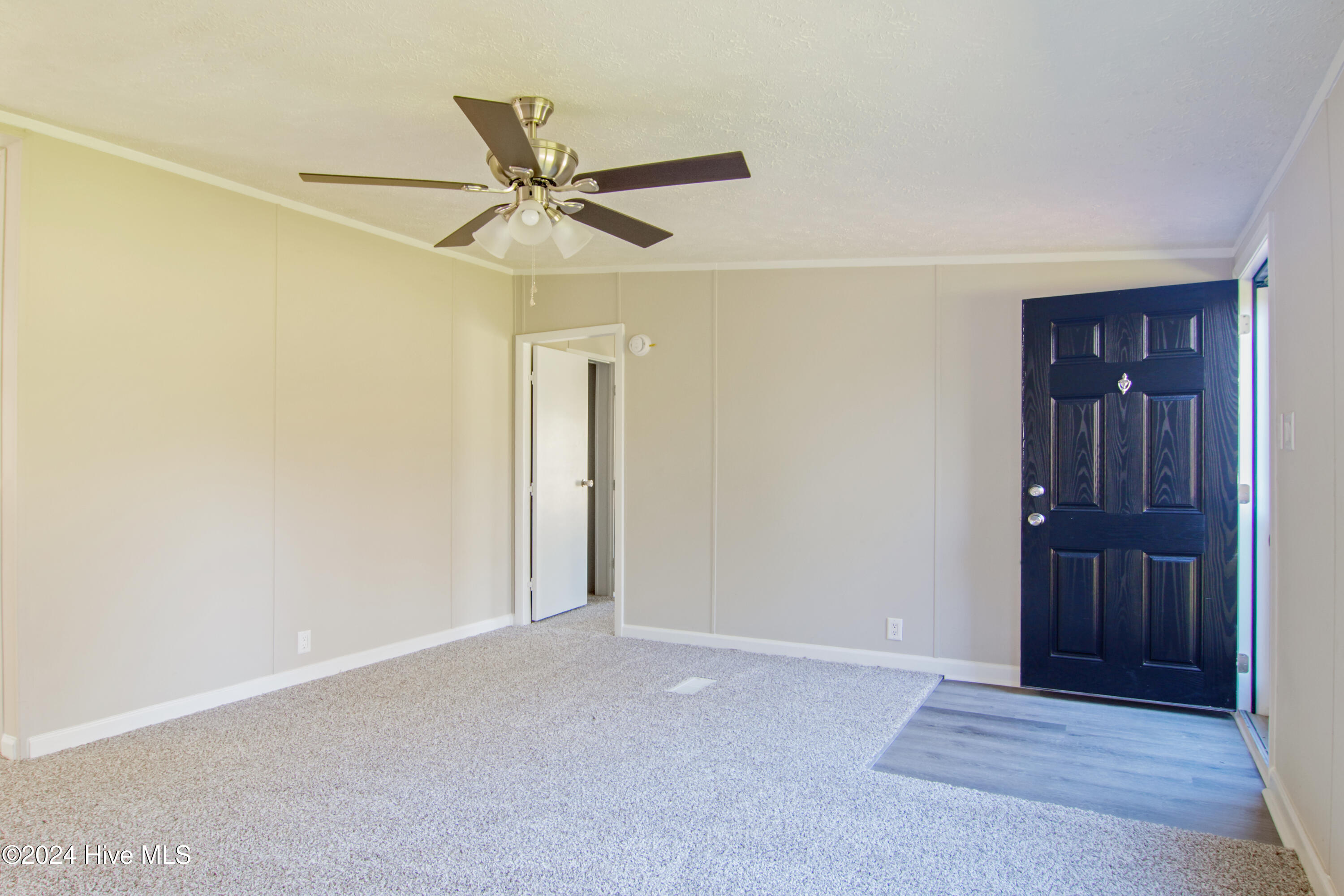 12 Cox Street Property Photo 30