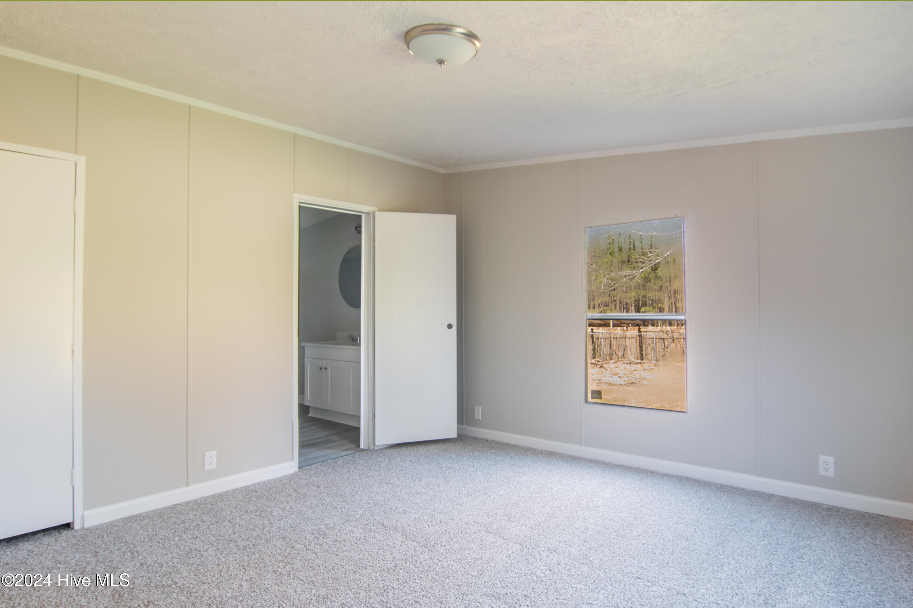12 Cox Street Property Photo 32