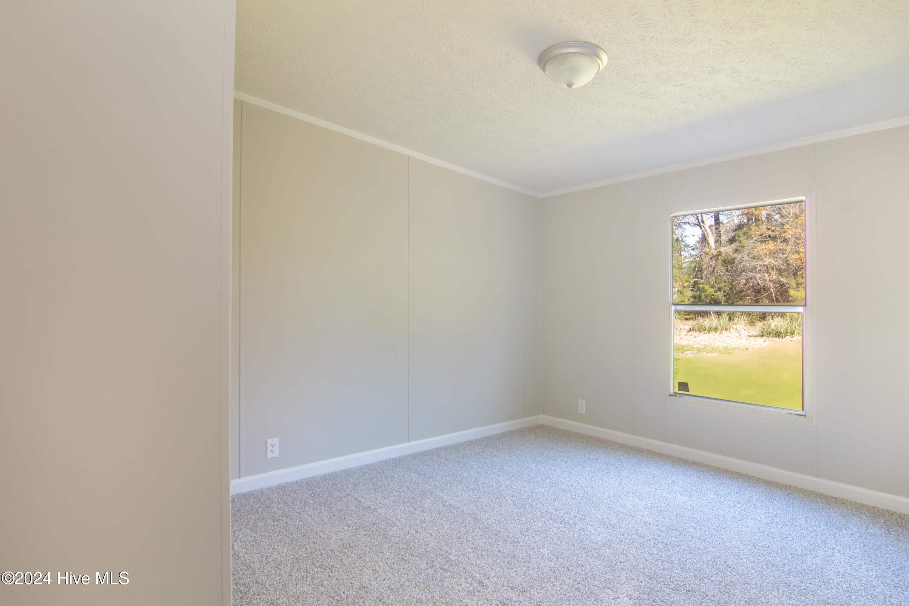 12 Cox Street Property Photo 35