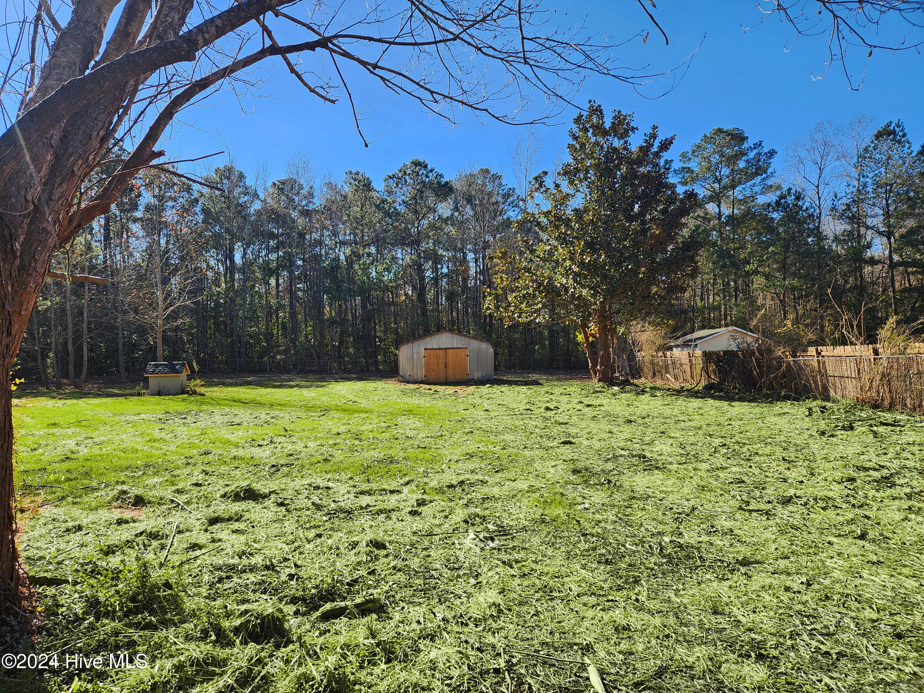12 Cox Street Property Photo 45