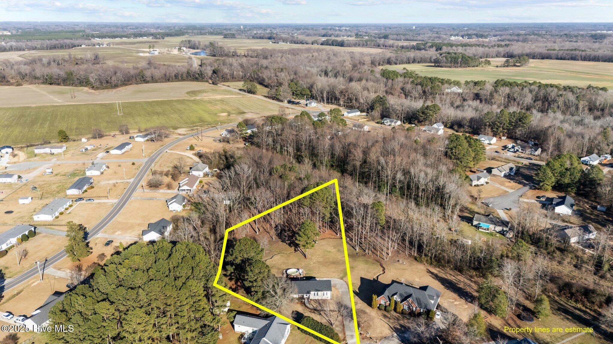 207 Jordan Bluff Drive Property Photo 4