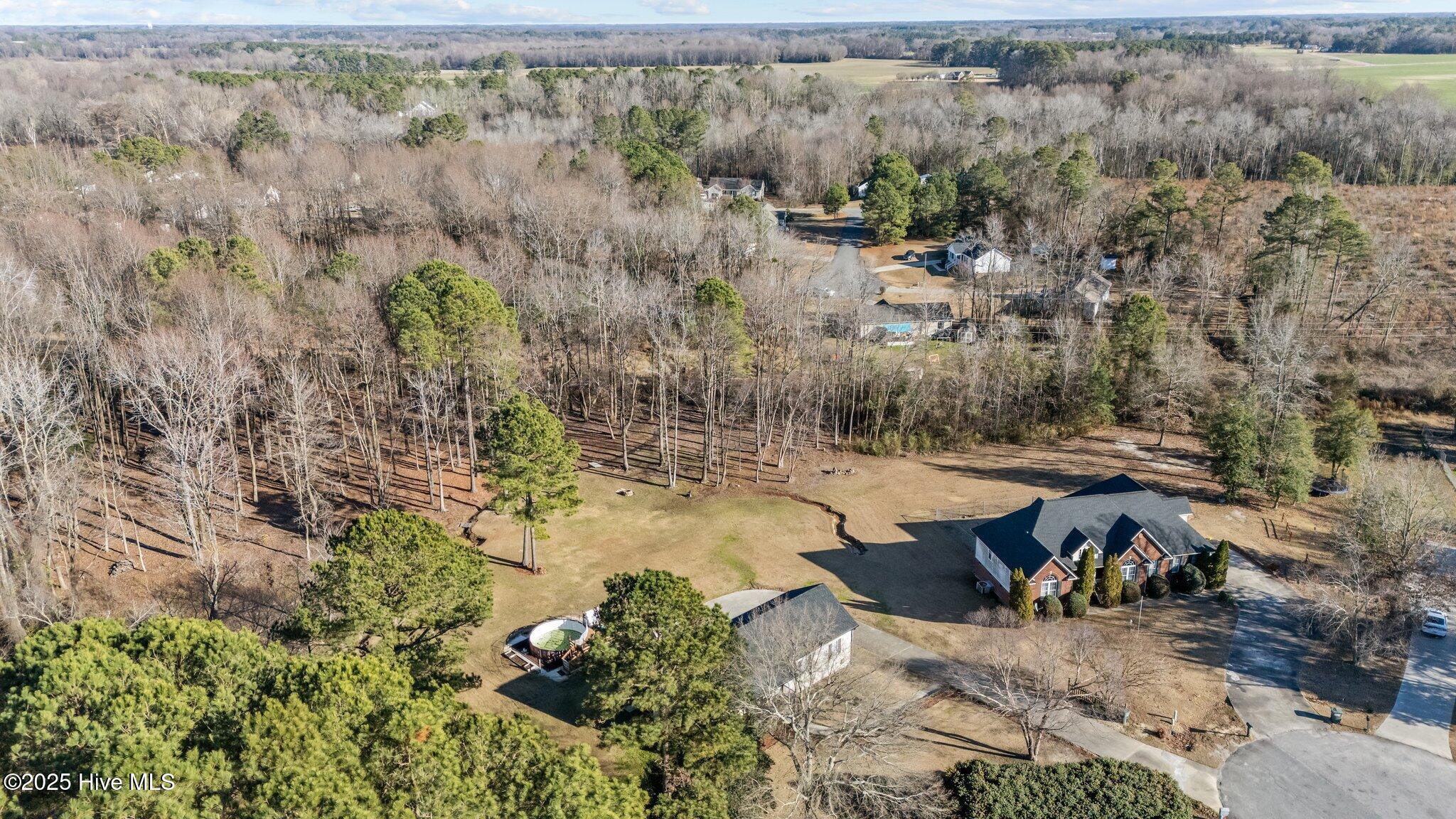 207 Jordan Bluff Drive Property Photo 48