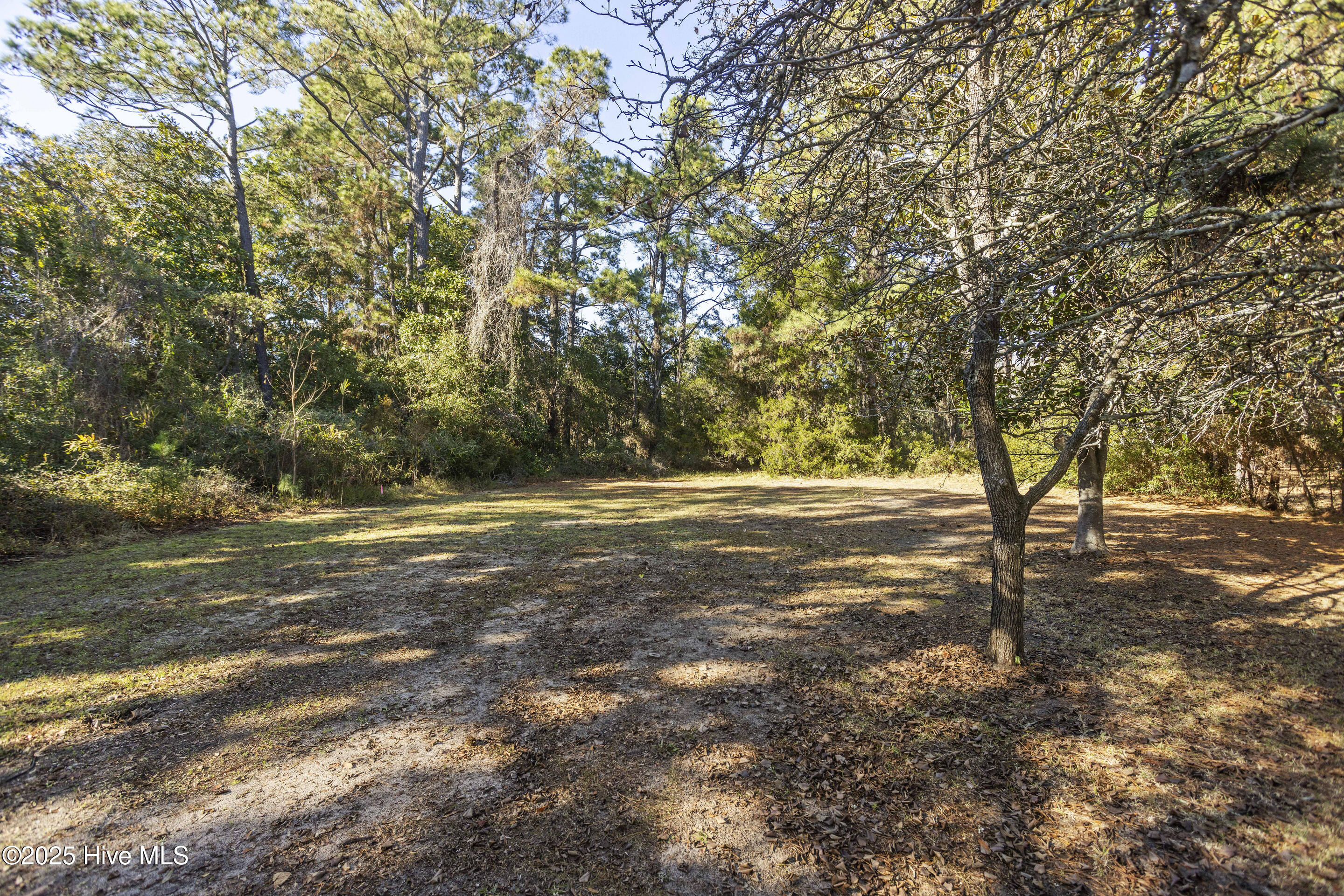 207 Rosco Court Property Photo 5
