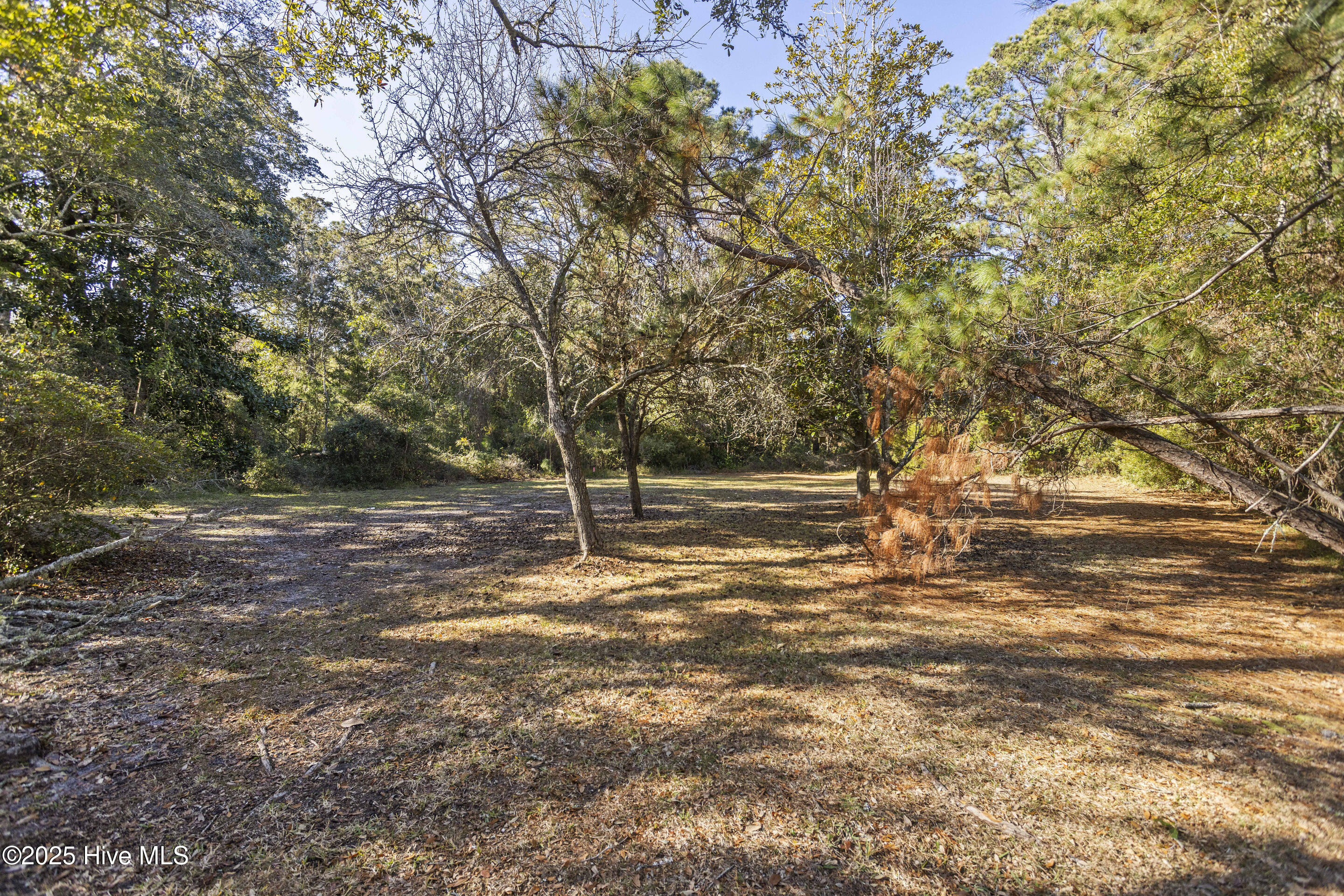 207 Rosco Court Property Photo 9