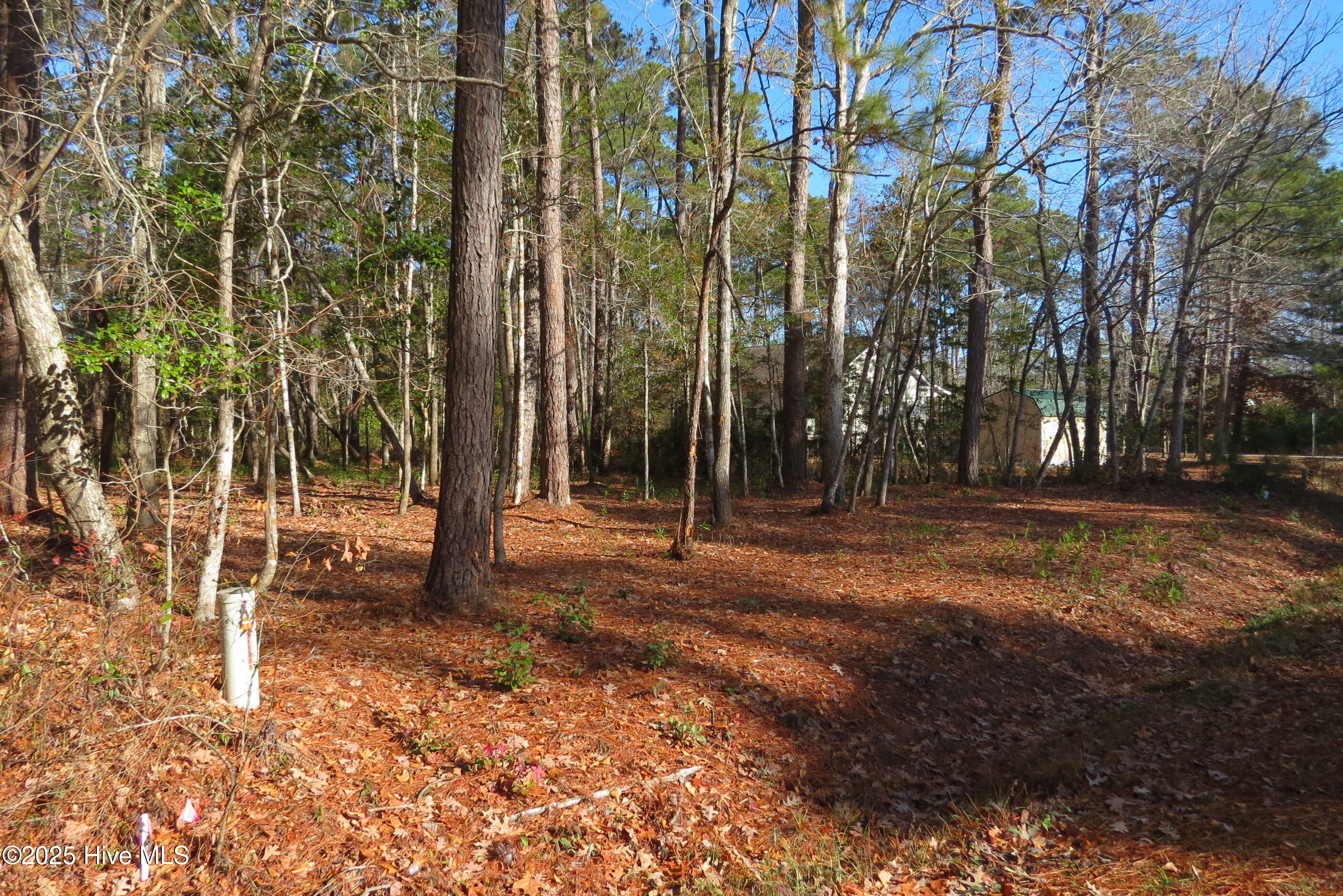 1446 Seafarer Drive Property Photo 1