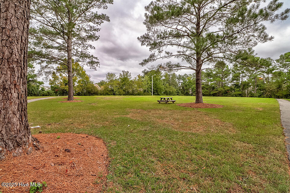 4626 Turtle Dove Court Property Photo 21