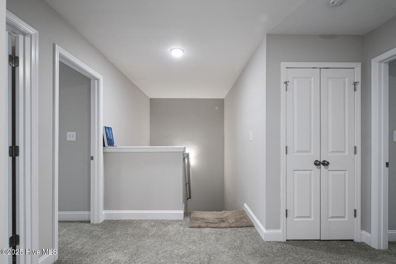 3216 Carriden Drive Property Photo 7