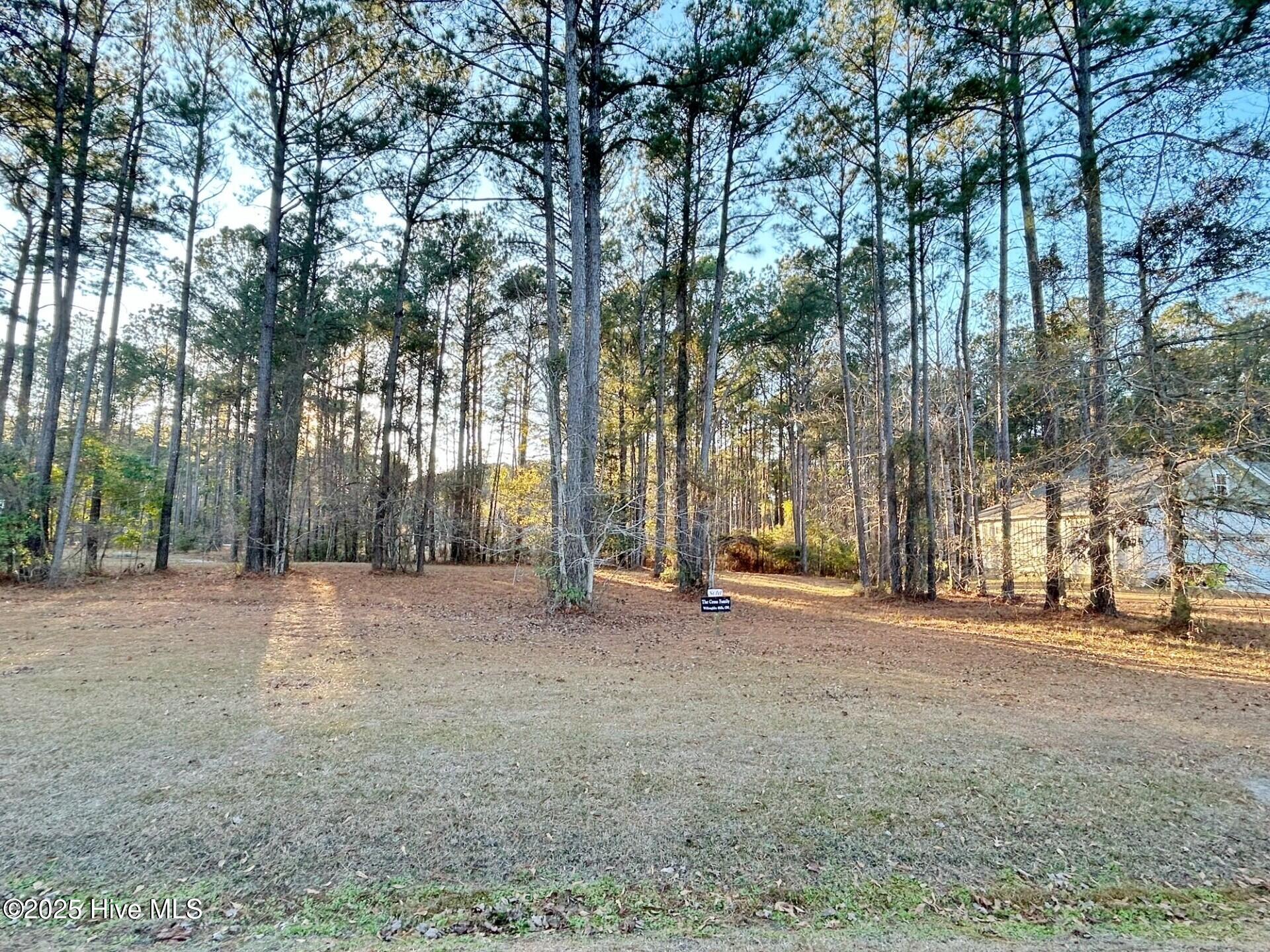 59 Chickory Lane Property Photo 4