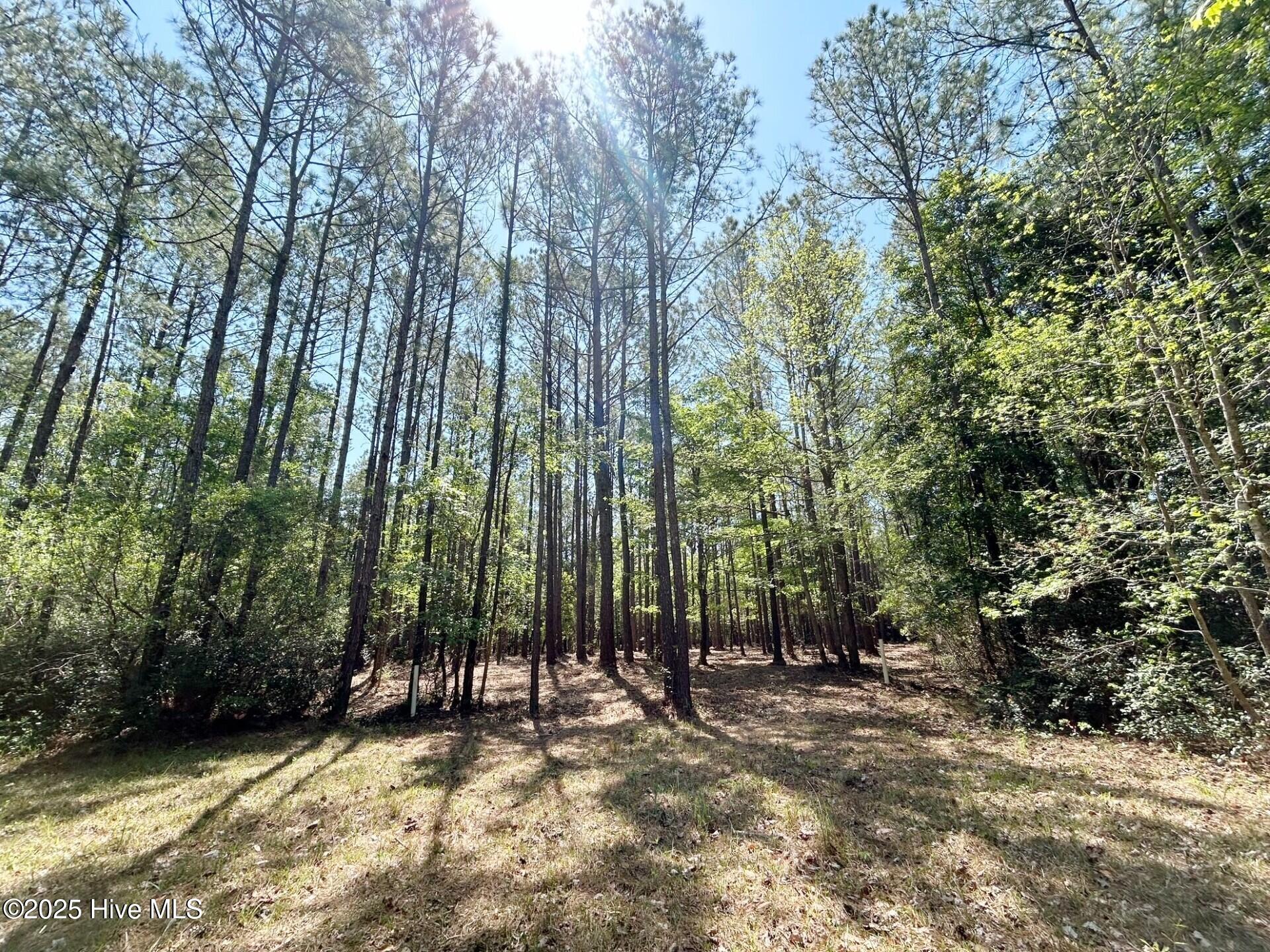 379 Mill Creek Drive Property Photo 3