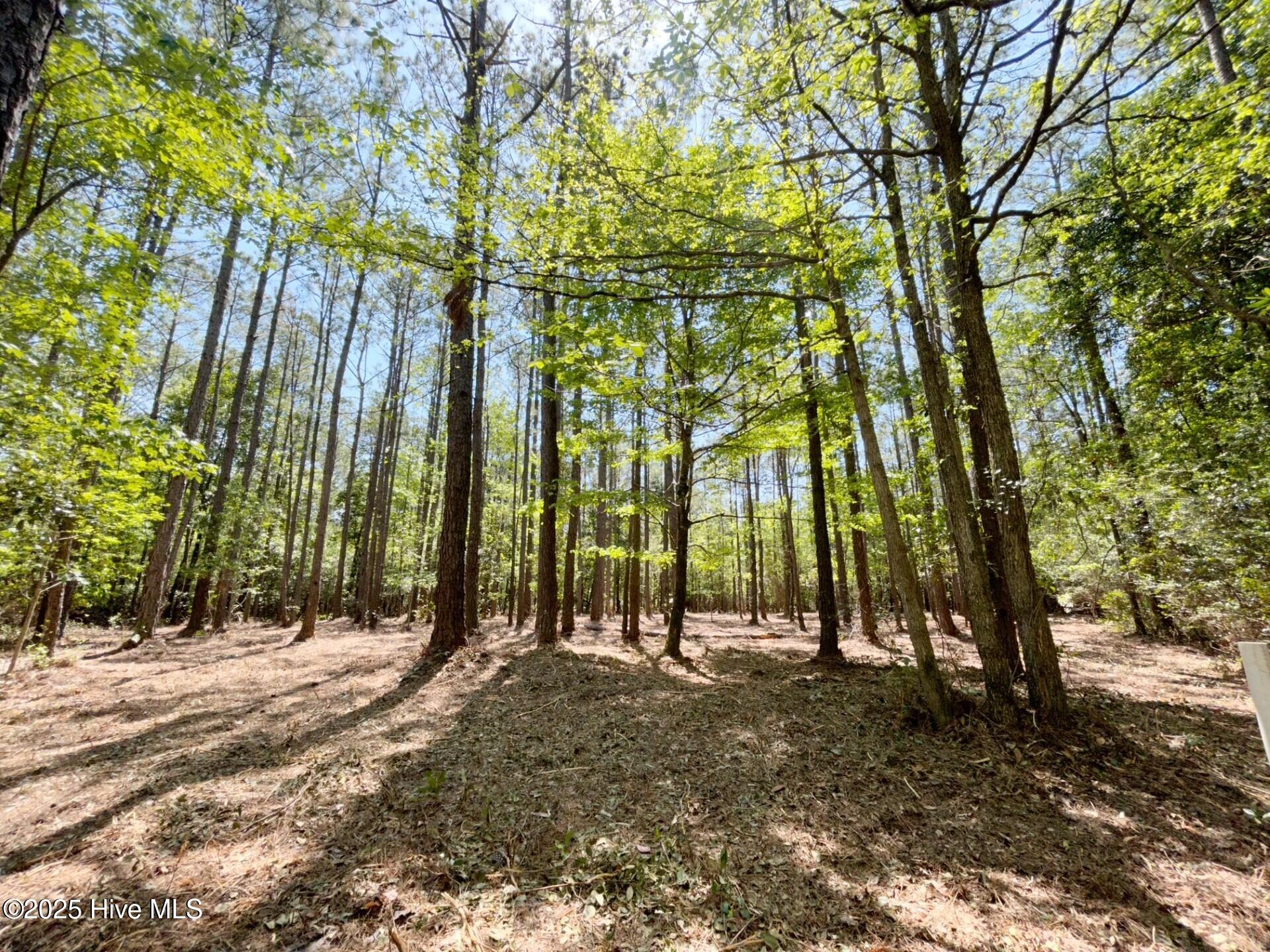 379 Mill Creek Drive Property Photo 4