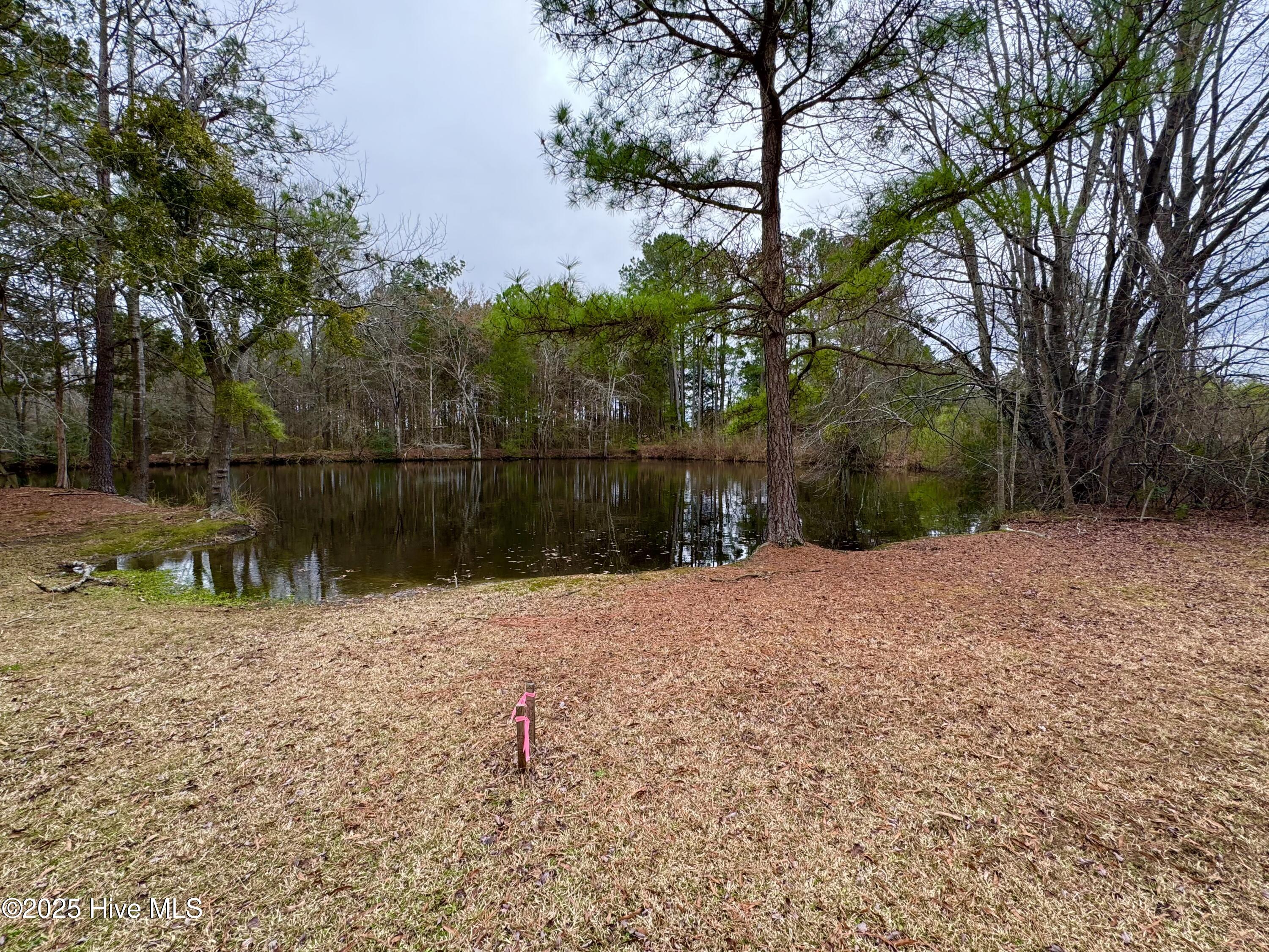 0000 Green Pace Road Property Photo 2