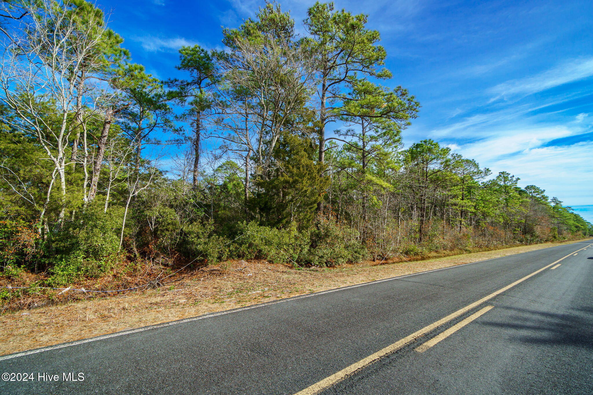 966 Old Cedar Island Road Property Photo 3