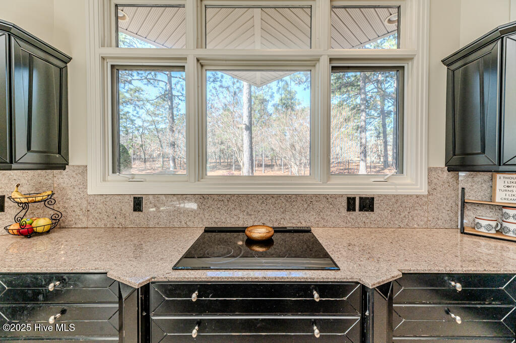 835 Lake Dornoch Drive Property Photo 34