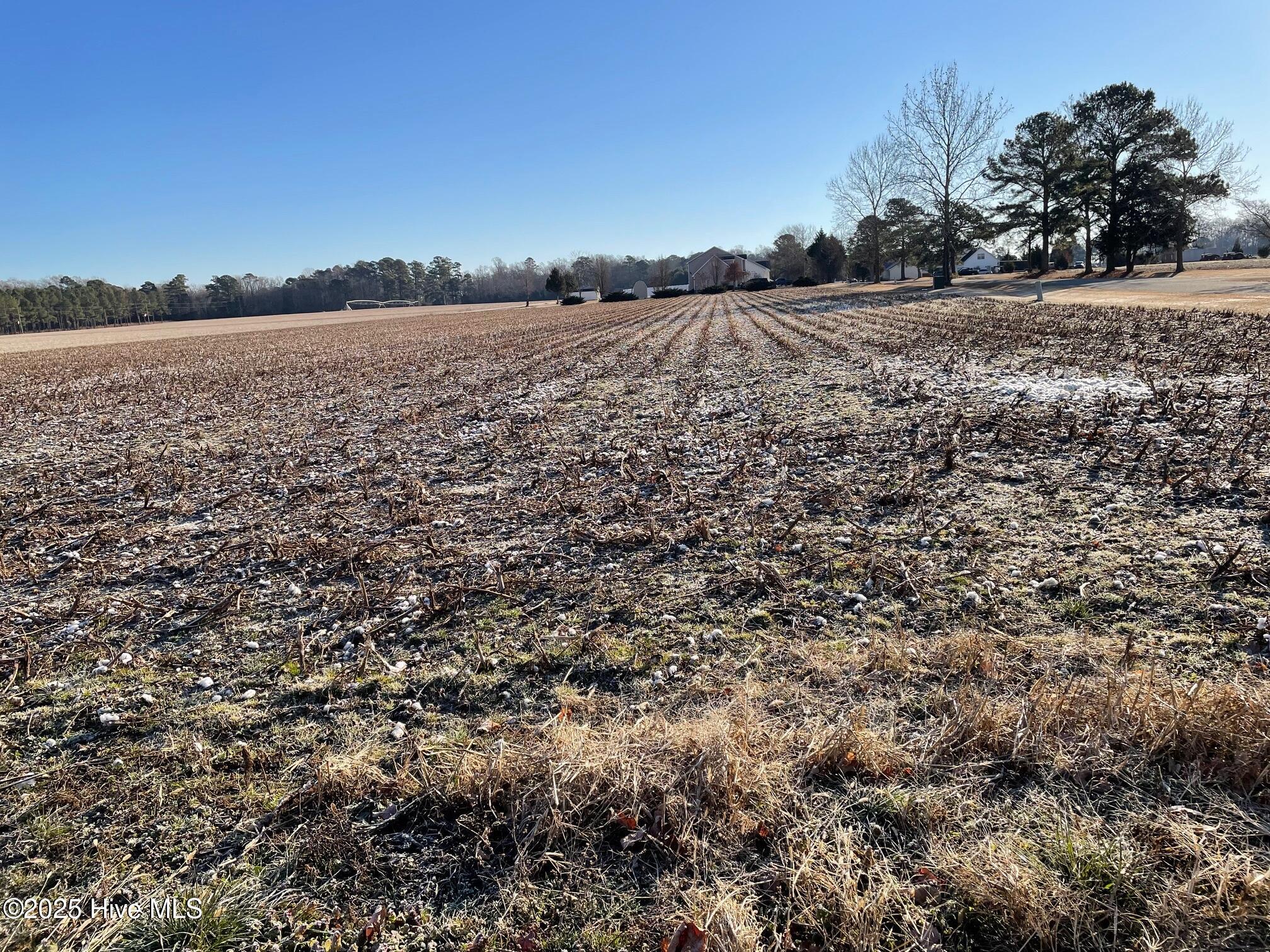 109 Chowan Shores Drive Property Photo 8