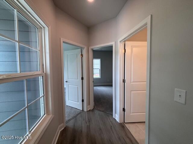 110 Firethorn Circle Property Photo 4