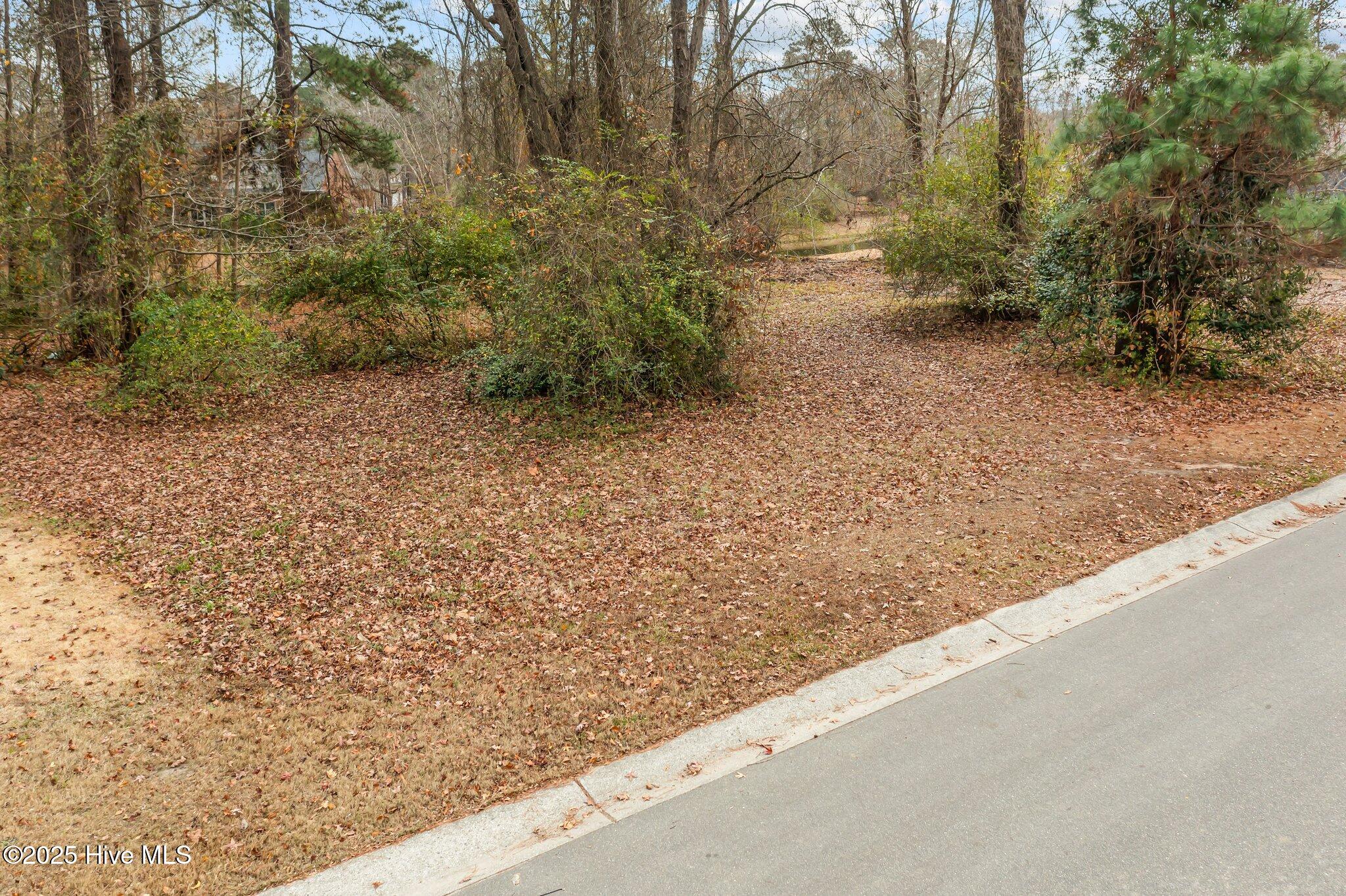 119 Cherry Laurel Drive Property Photo 2