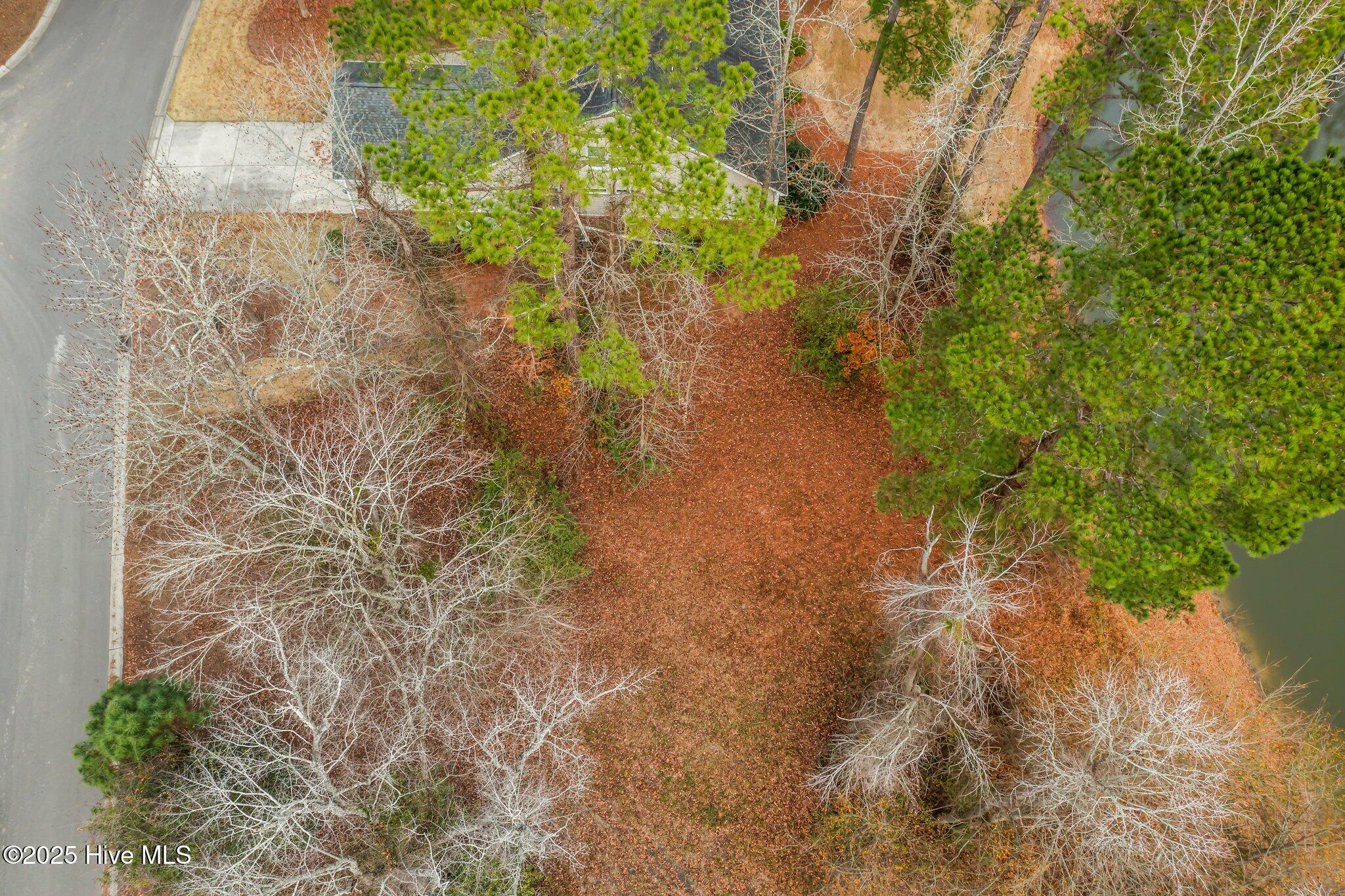 119 Cherry Laurel Drive Property Photo 6