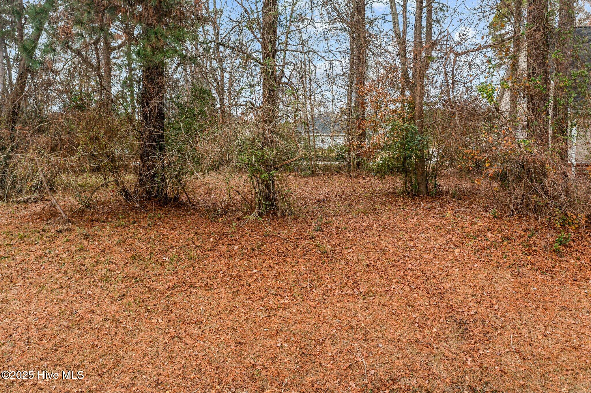 119 Cherry Laurel Drive Property Photo 11