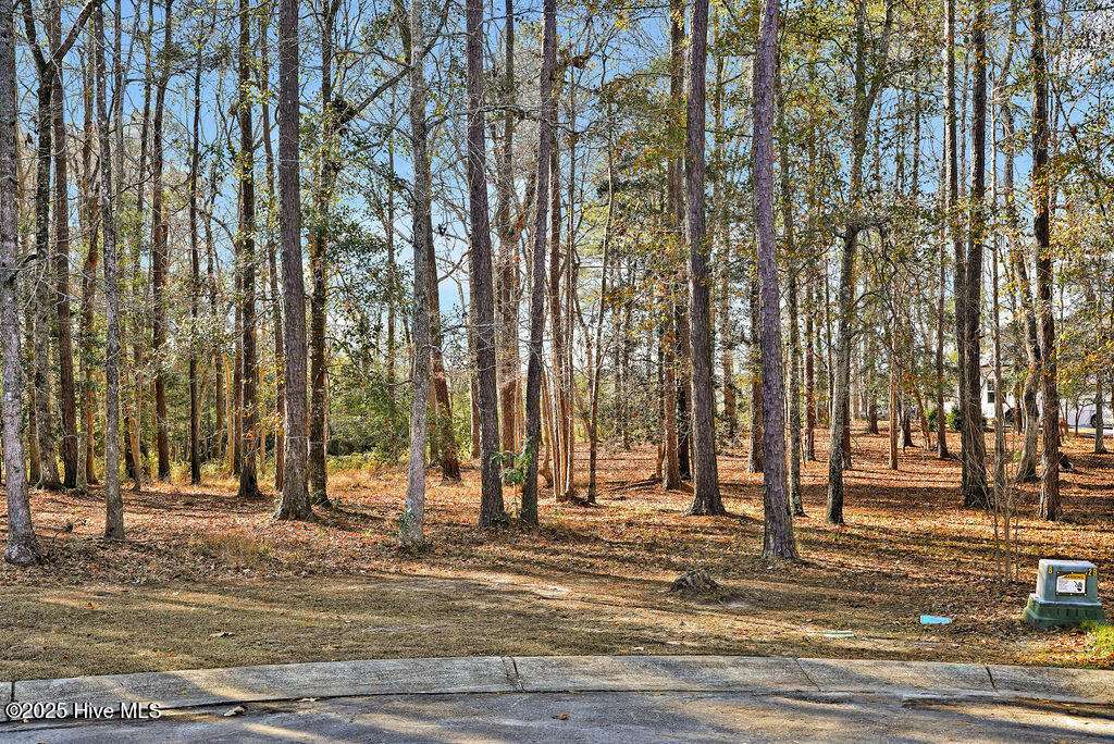 803 Weston Lane Property Photo 6