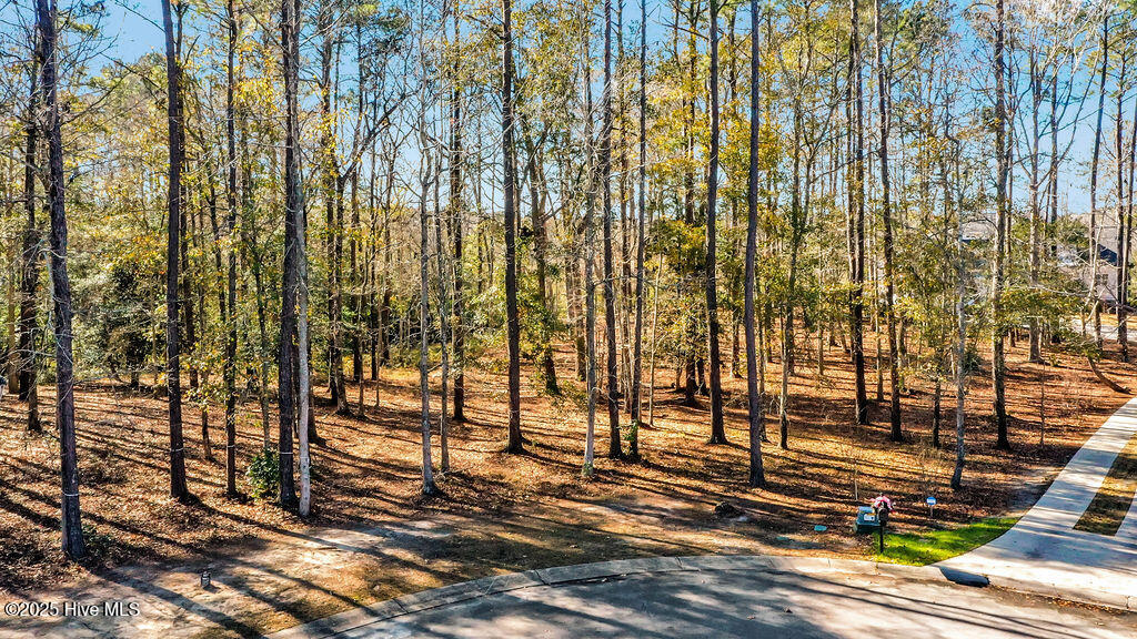 803 Weston Lane Property Photo 17