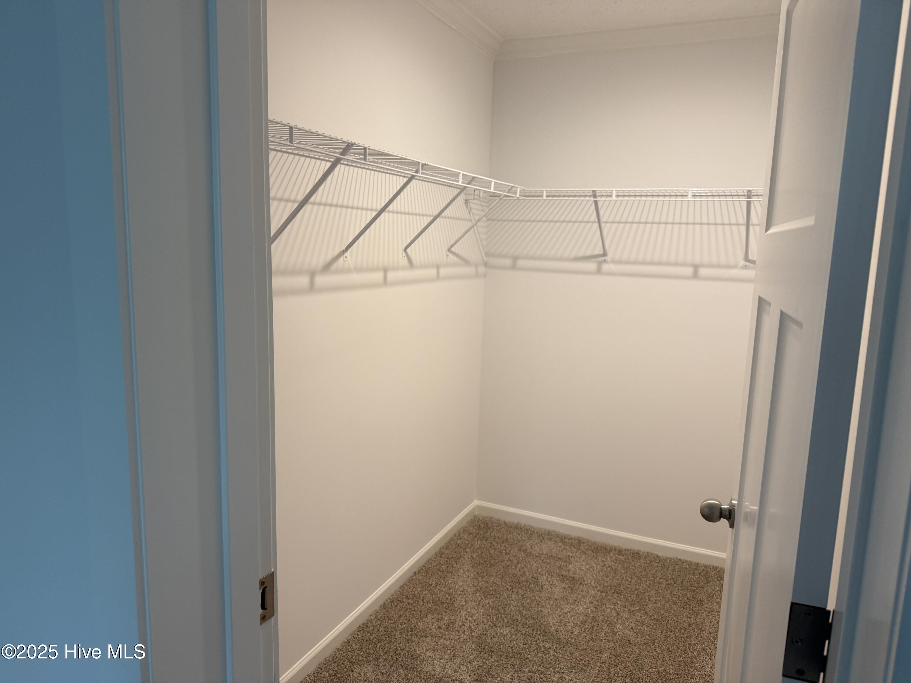 6767 Lewis Drive Property Photo 17