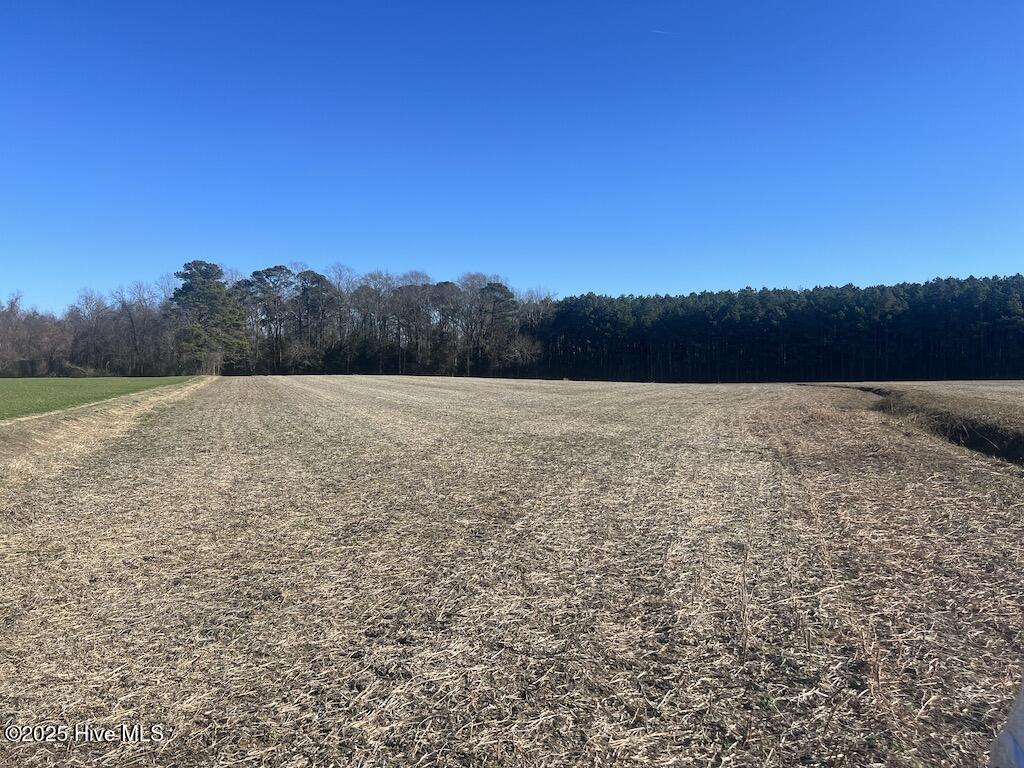 7723 East Langley Road Property Photo 20