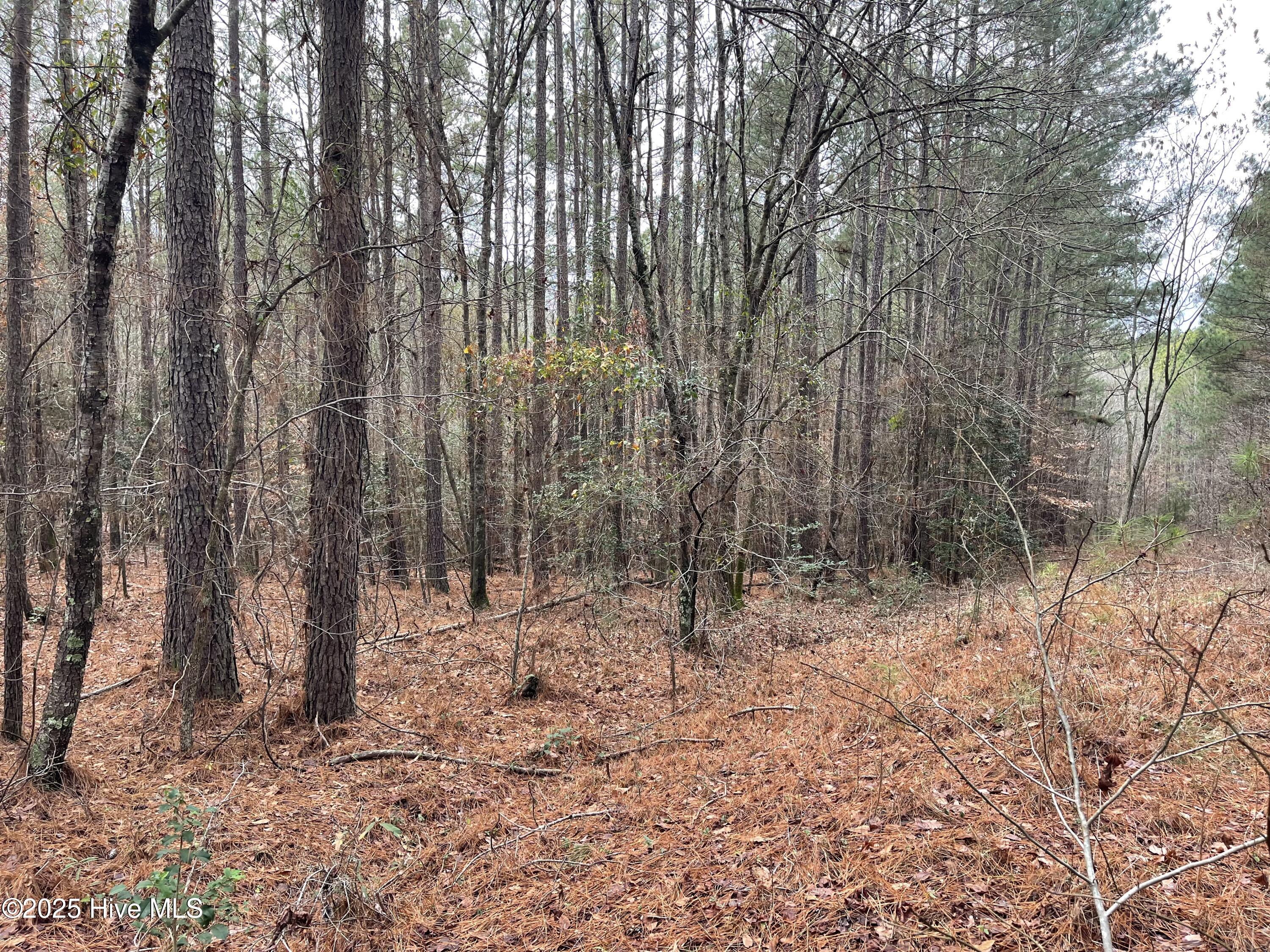 000 N State Lane Property Photo 7