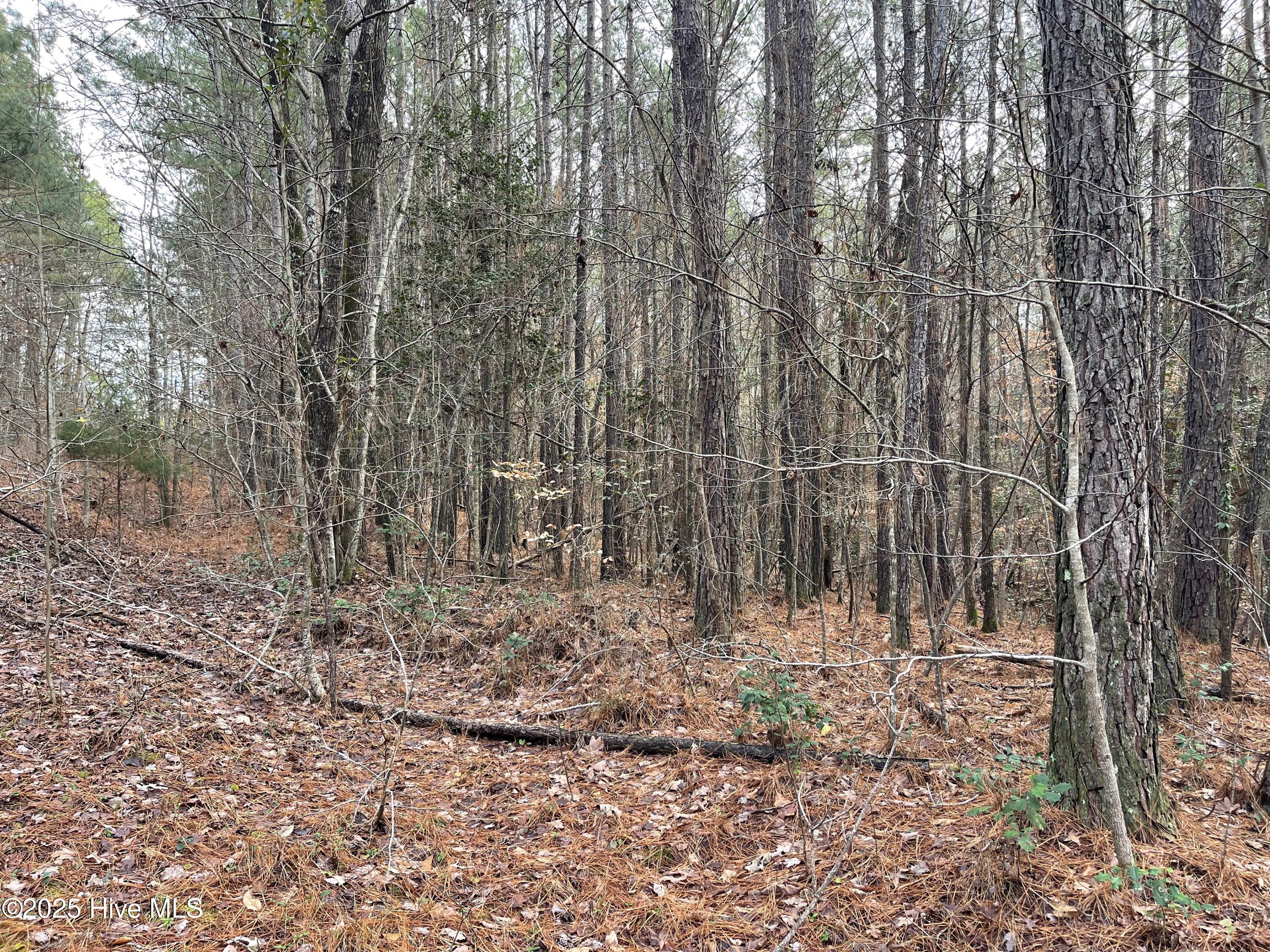 000 N State Lane Property Photo 11