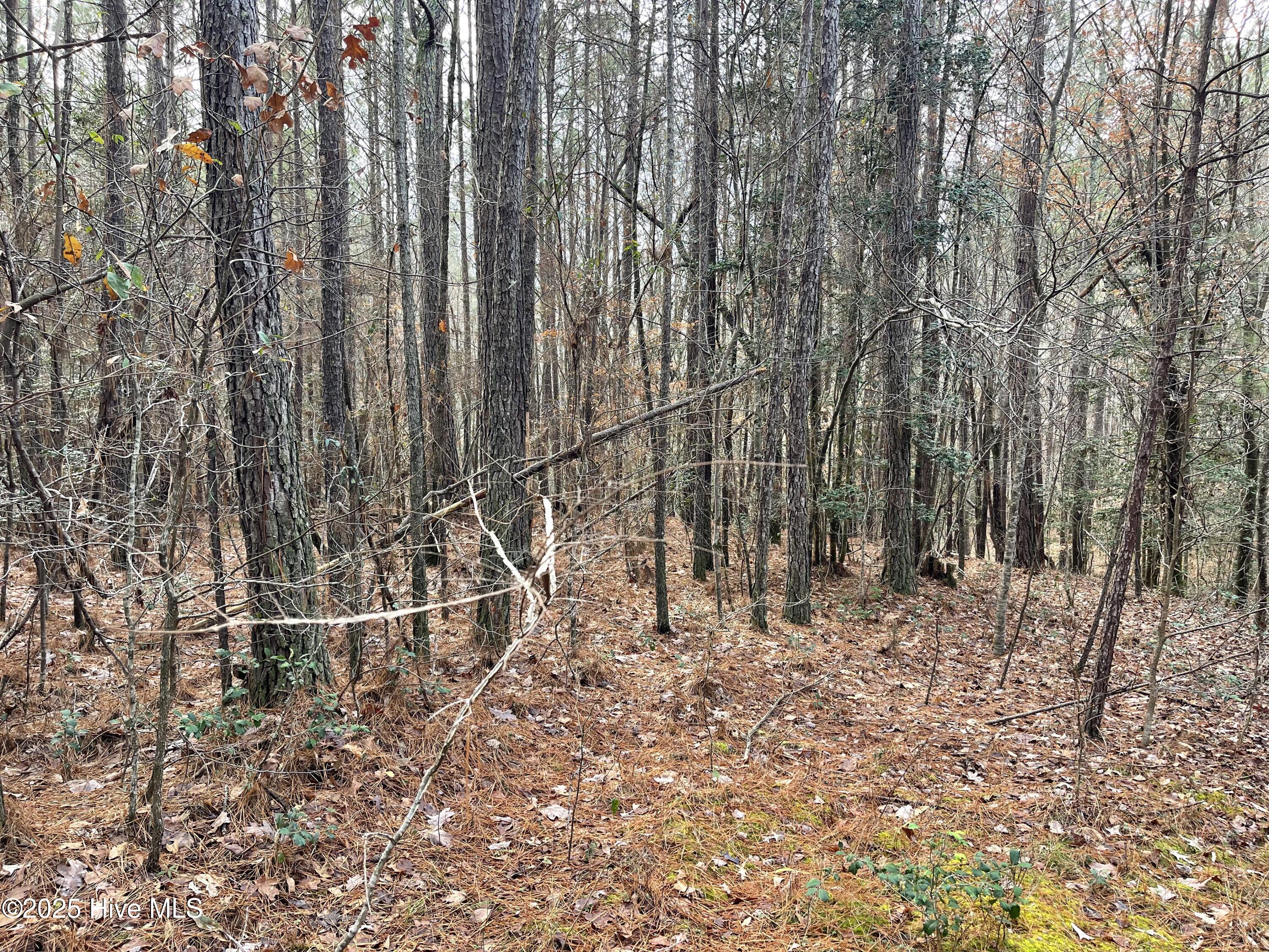 000 N State Lane Property Photo 12