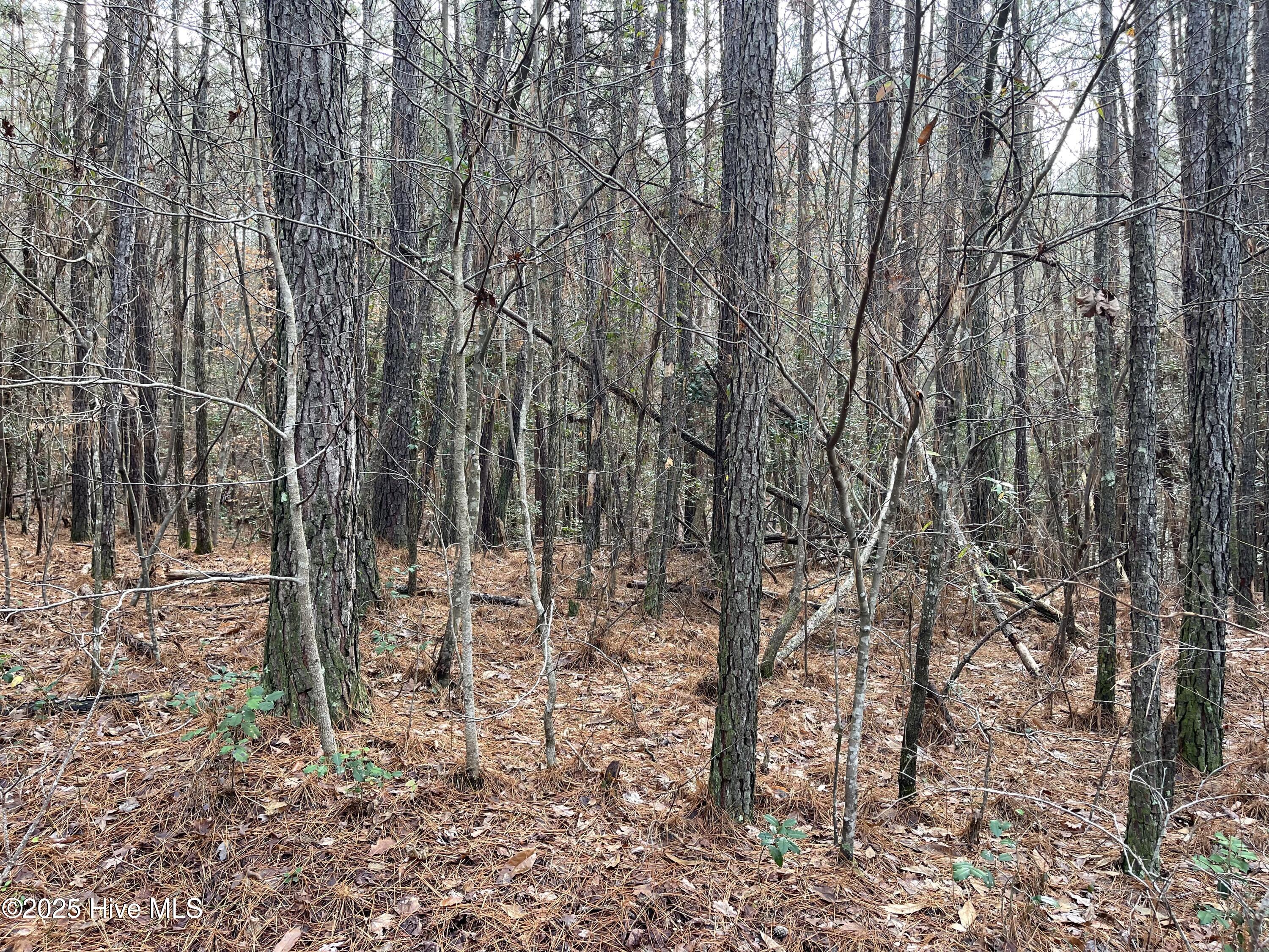 000 N State Lane Property Photo 13