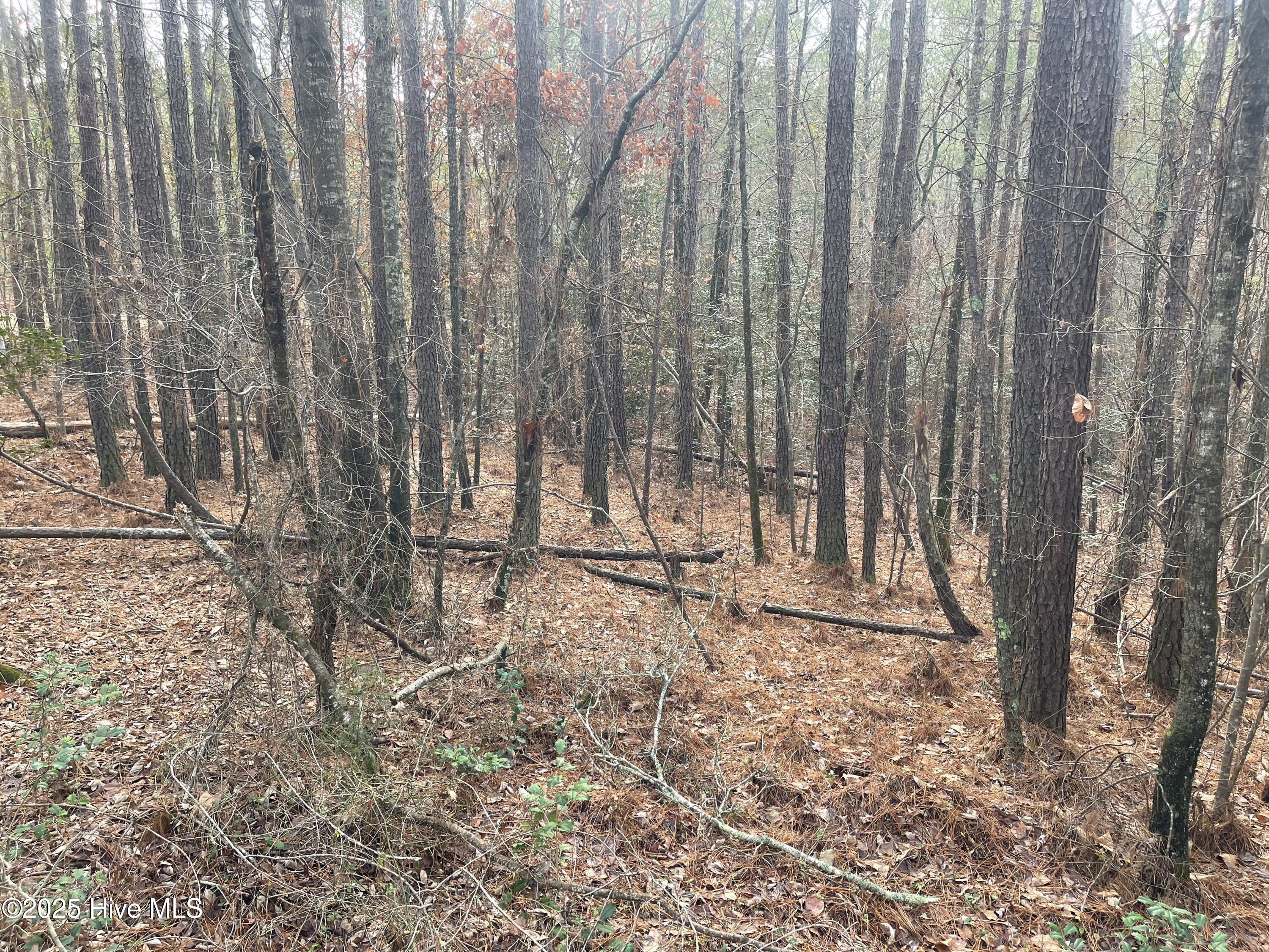 000 N State Lane Property Photo 17