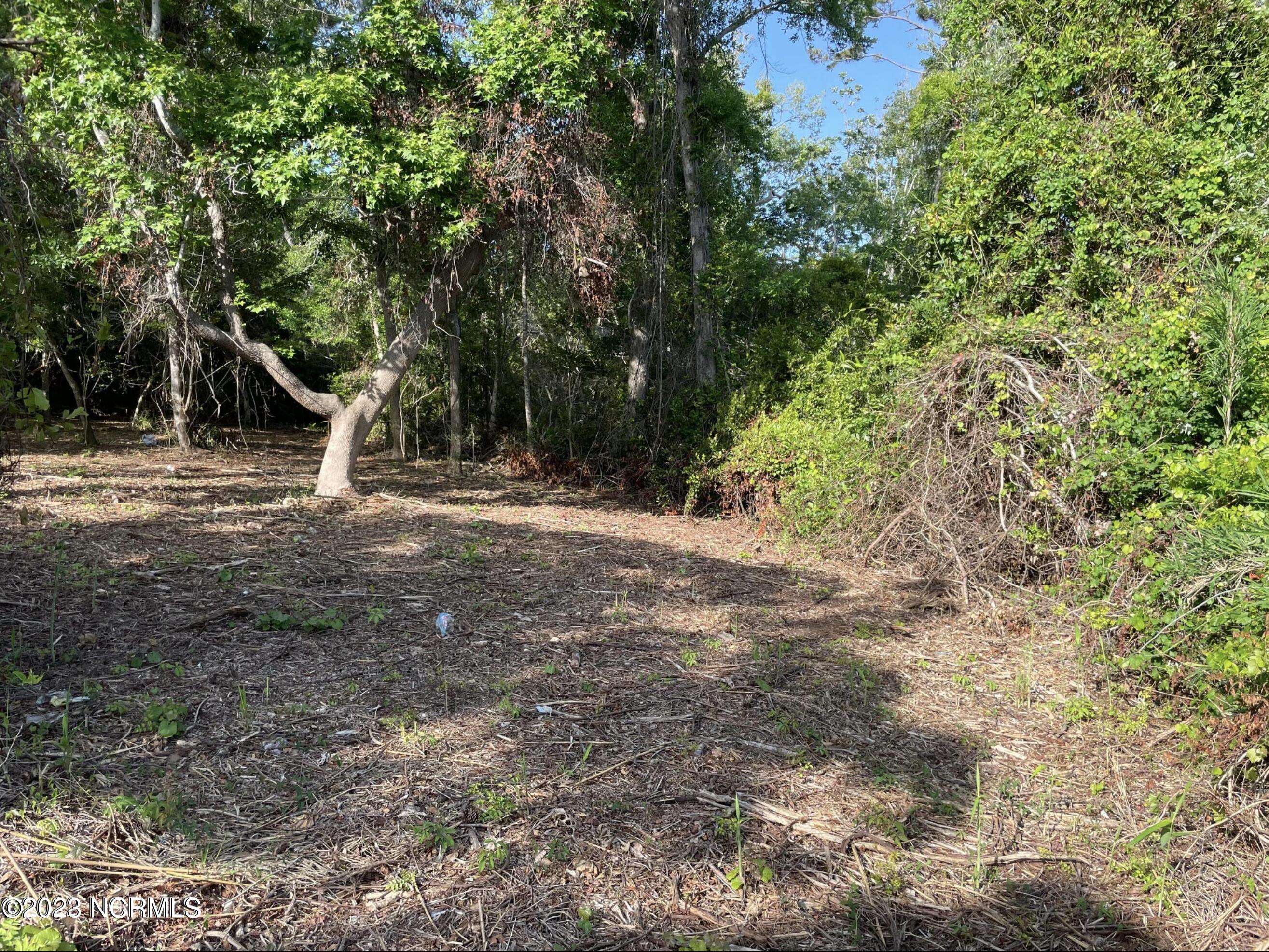 L-22 Womble Street Property Photo 2