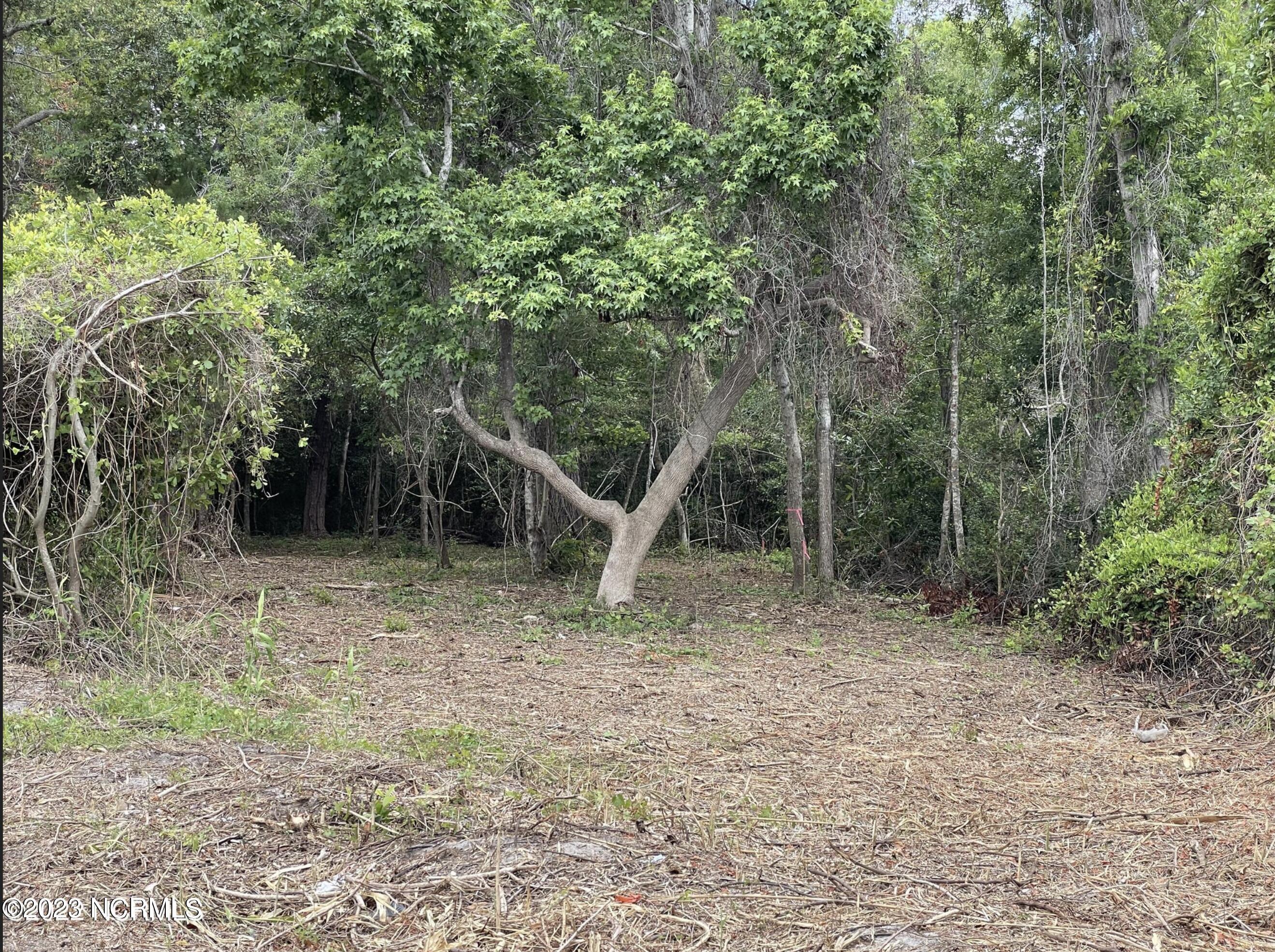 L-22 Womble Street Property Photo 10