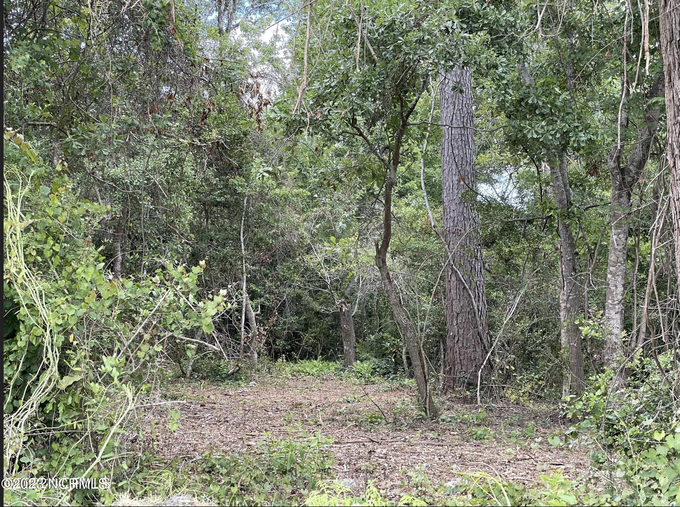 L-22 Womble Street Property Photo 13