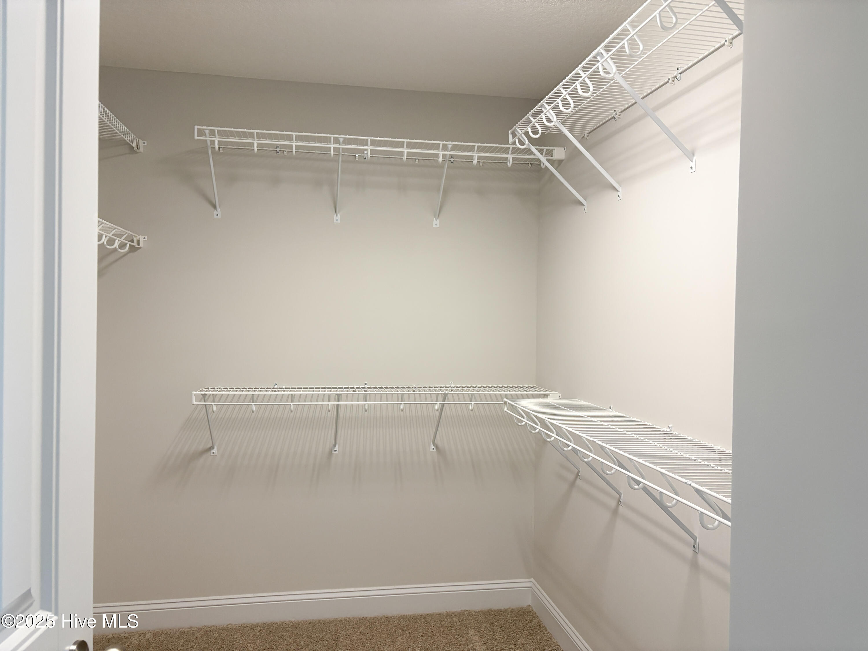 800 Calebs Creek Court Property Photo 11
