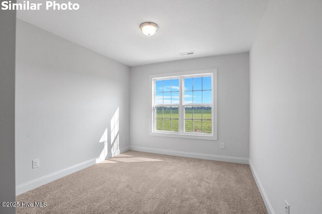 800 Calebs Creek Court Property Photo 38