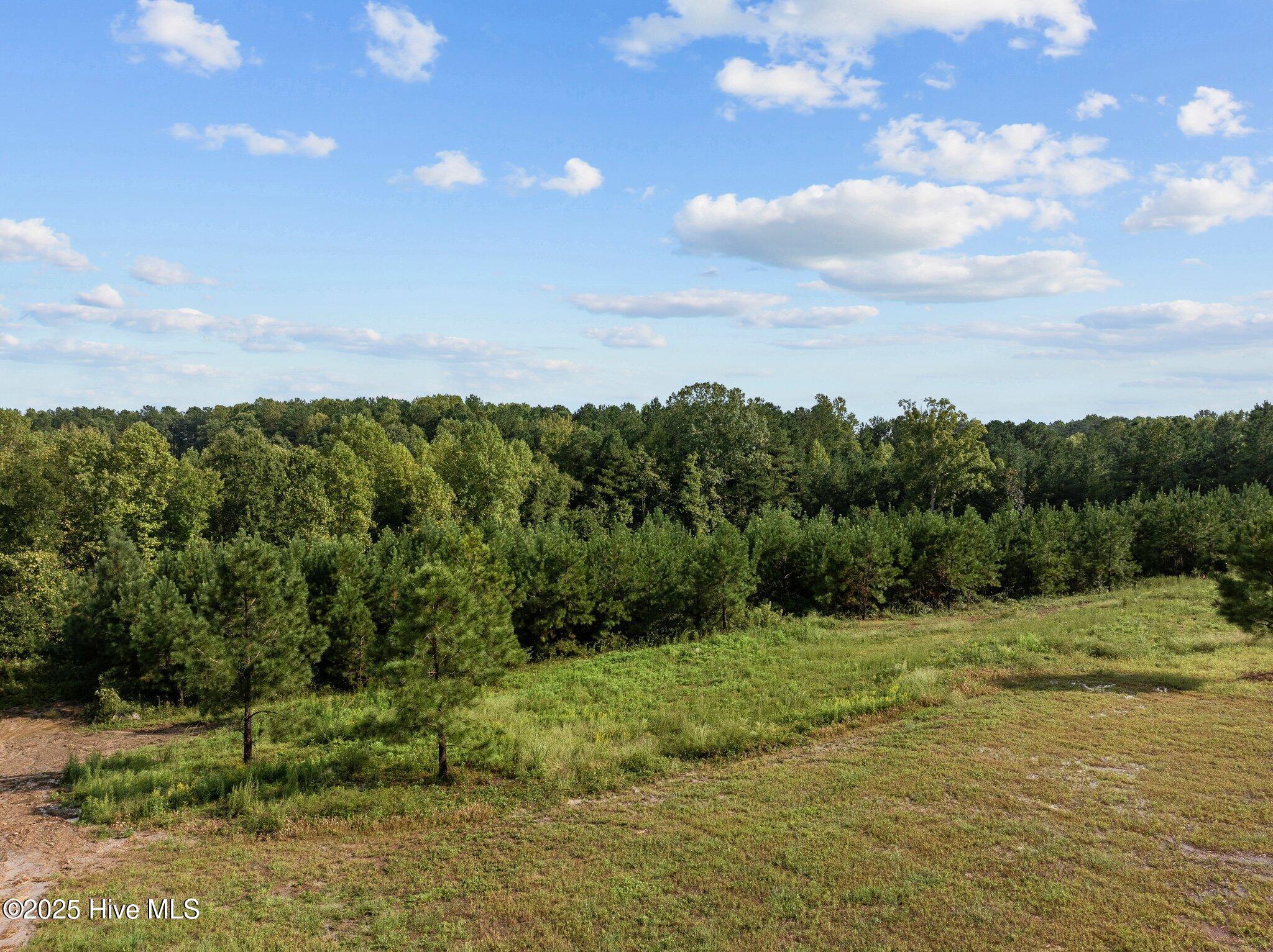 125 Brookhaven Drive Property Photo 30