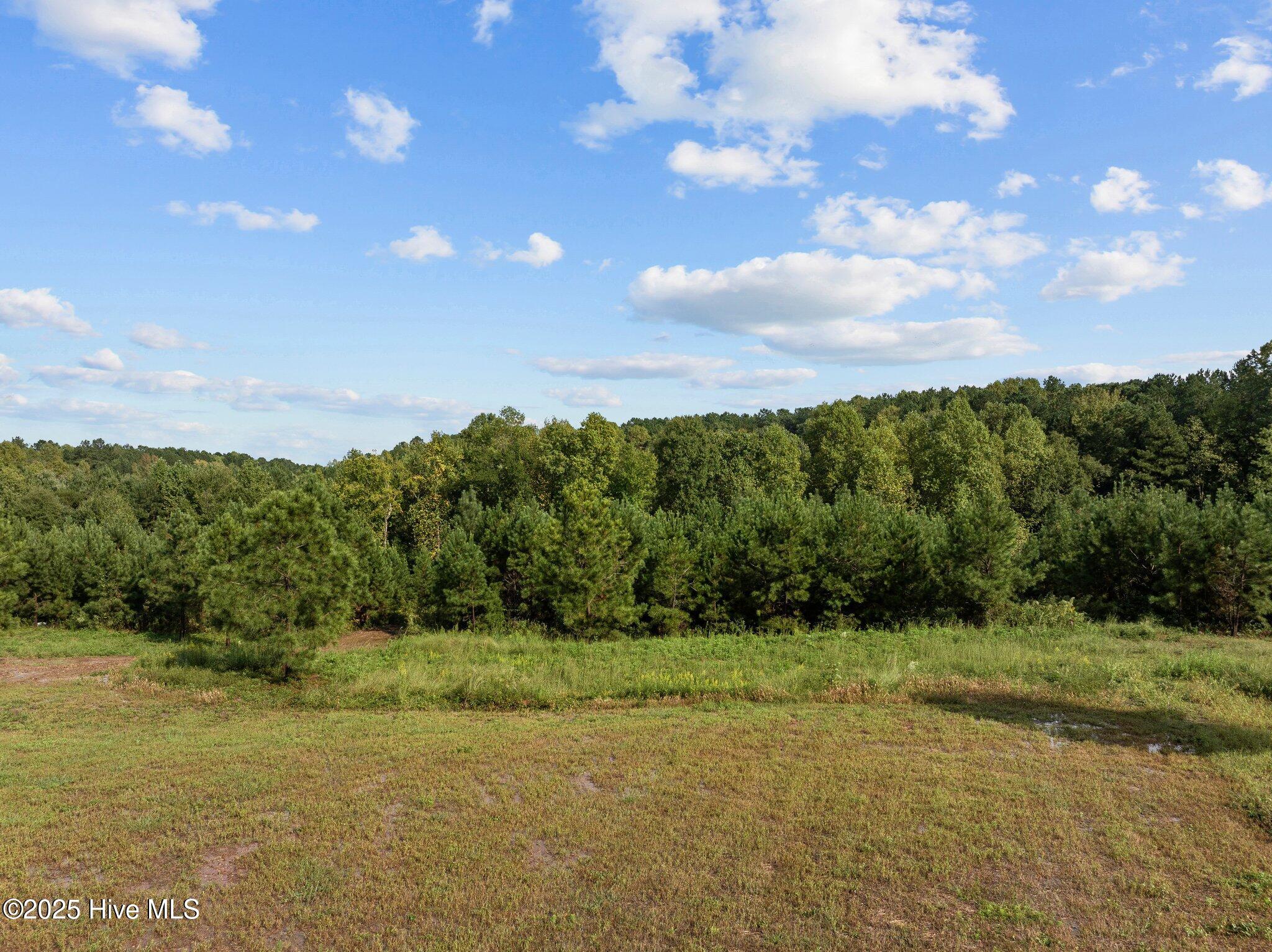 125 Brookhaven Drive Property Photo 31