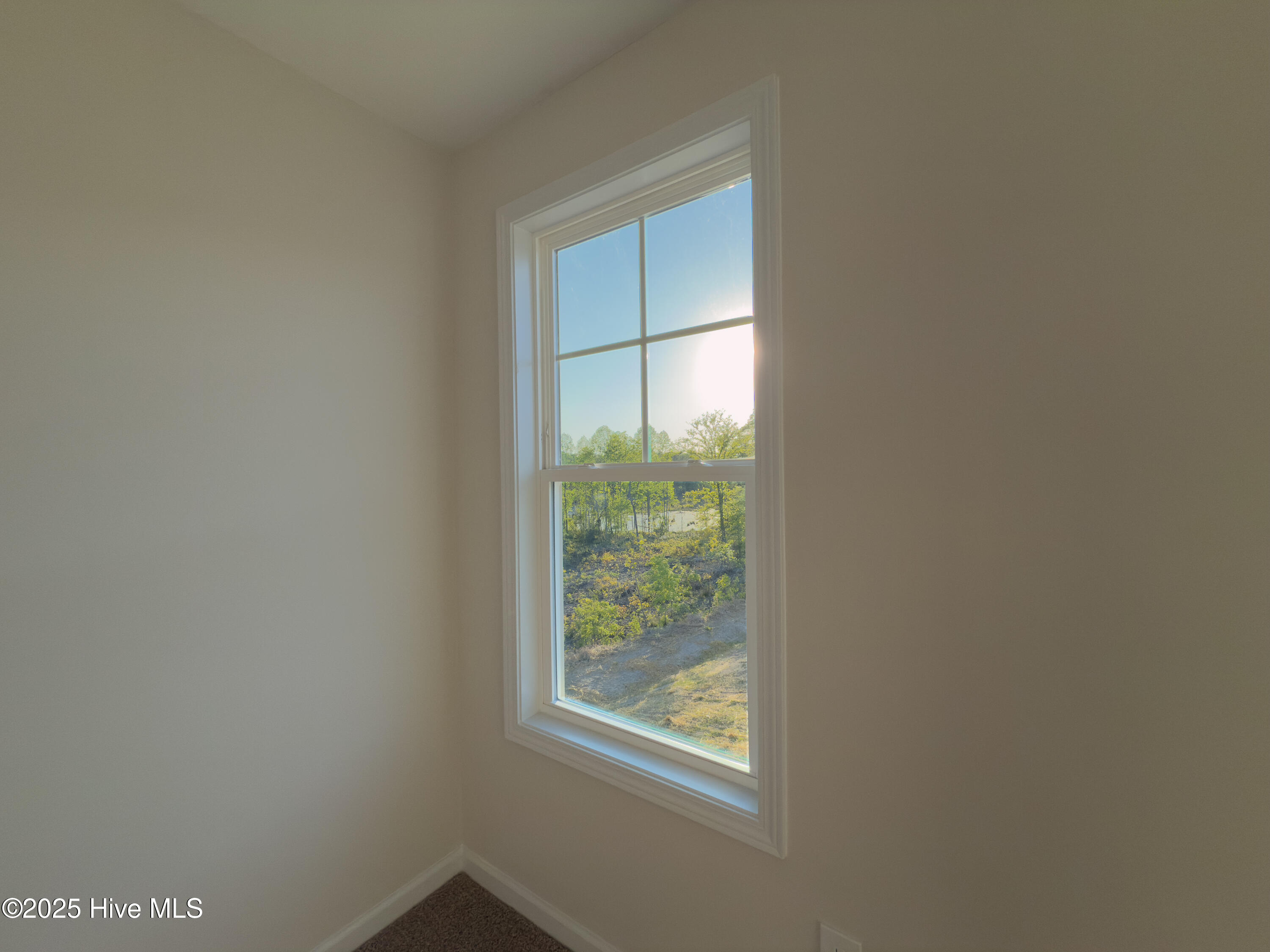 2137 Purebread Circle Property Photo 11