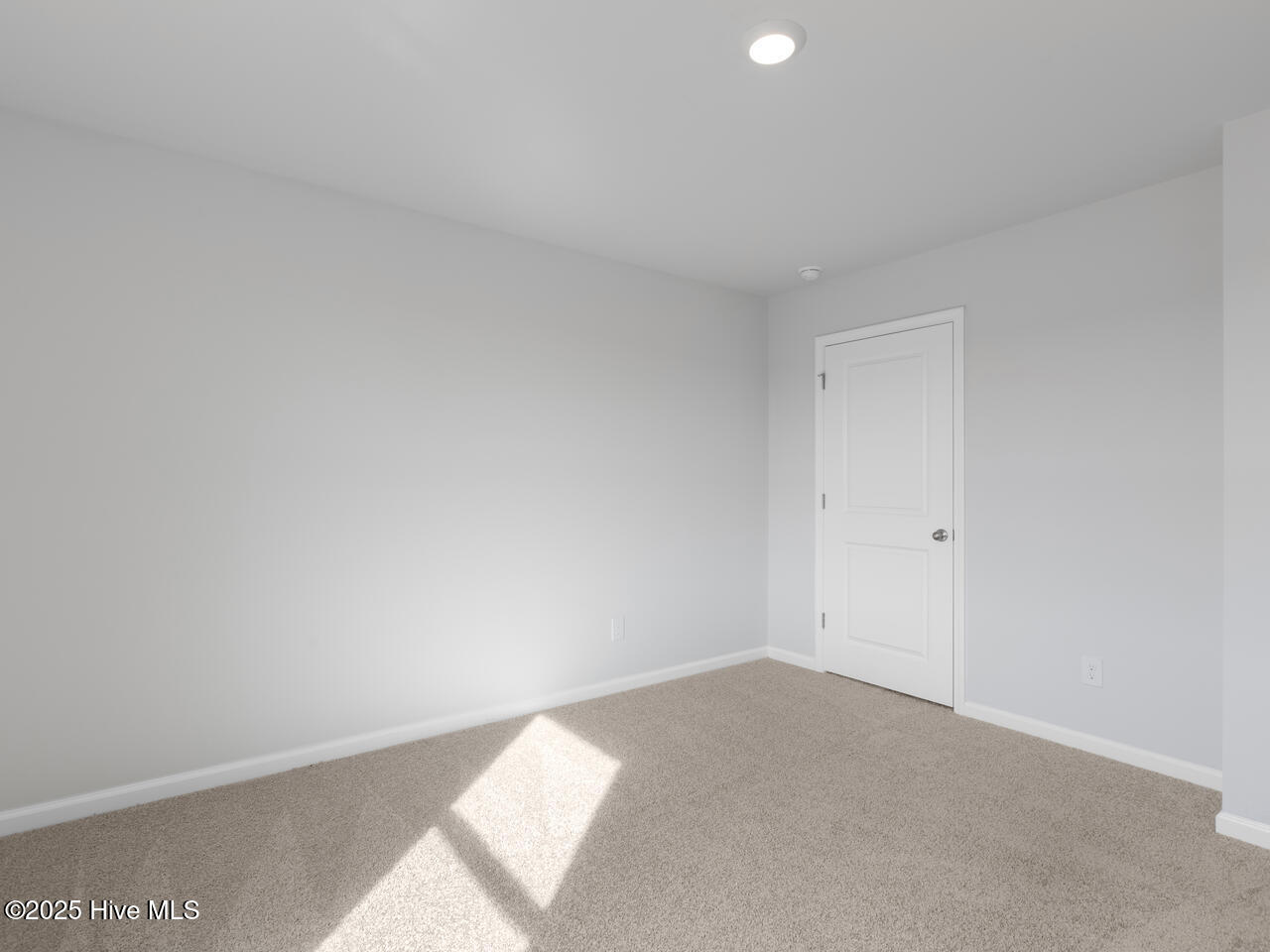 162 Stella Bluffs Drive Lot 28 Property Photo 28